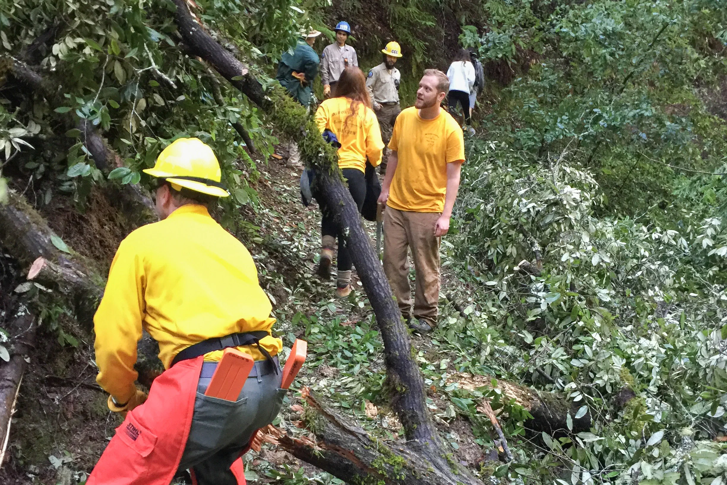 JAN 2019 - Skyline to the Sea Trail
