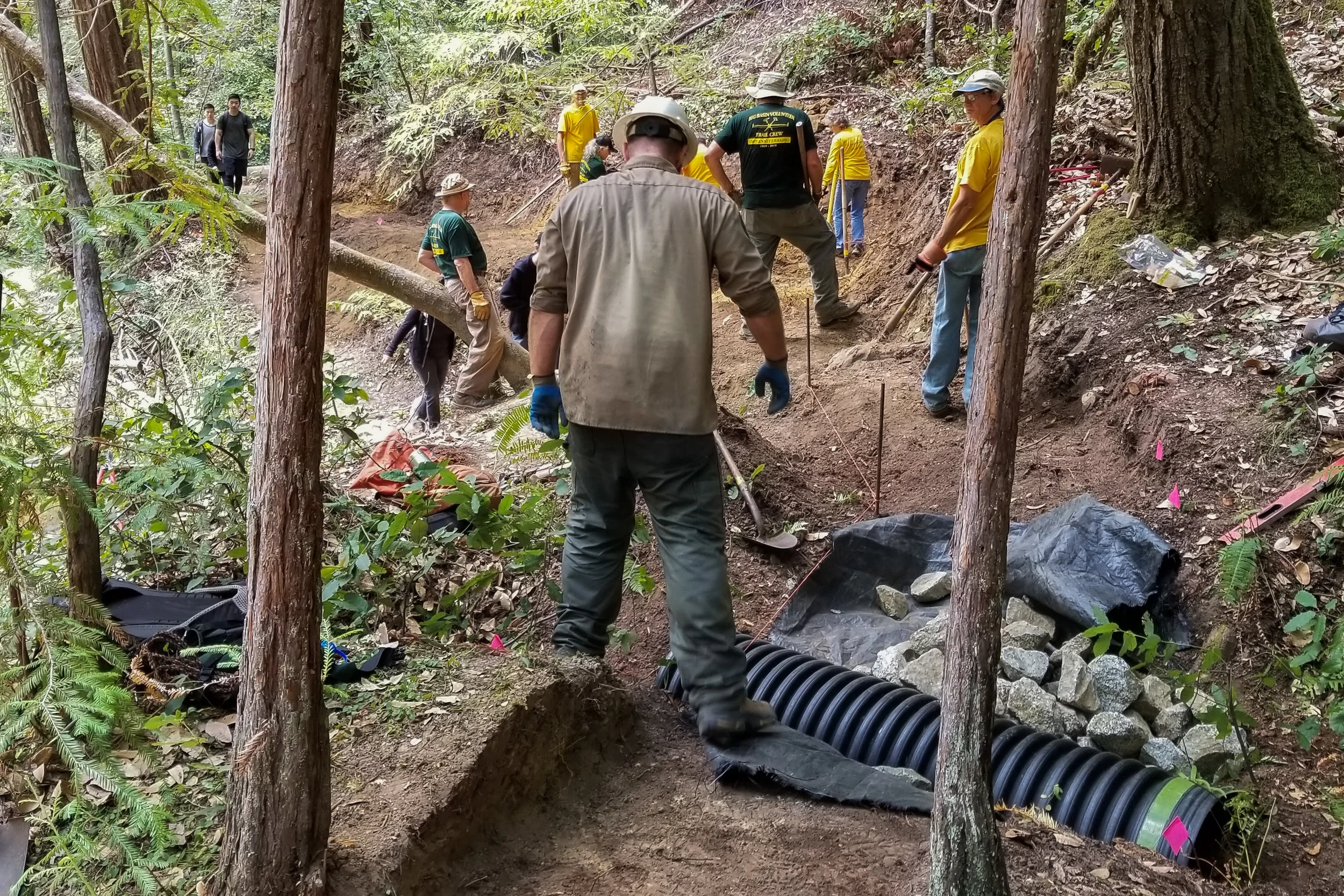 AUG 2019: Reconstruction of STS near Hollow Tree Trail, Part 2