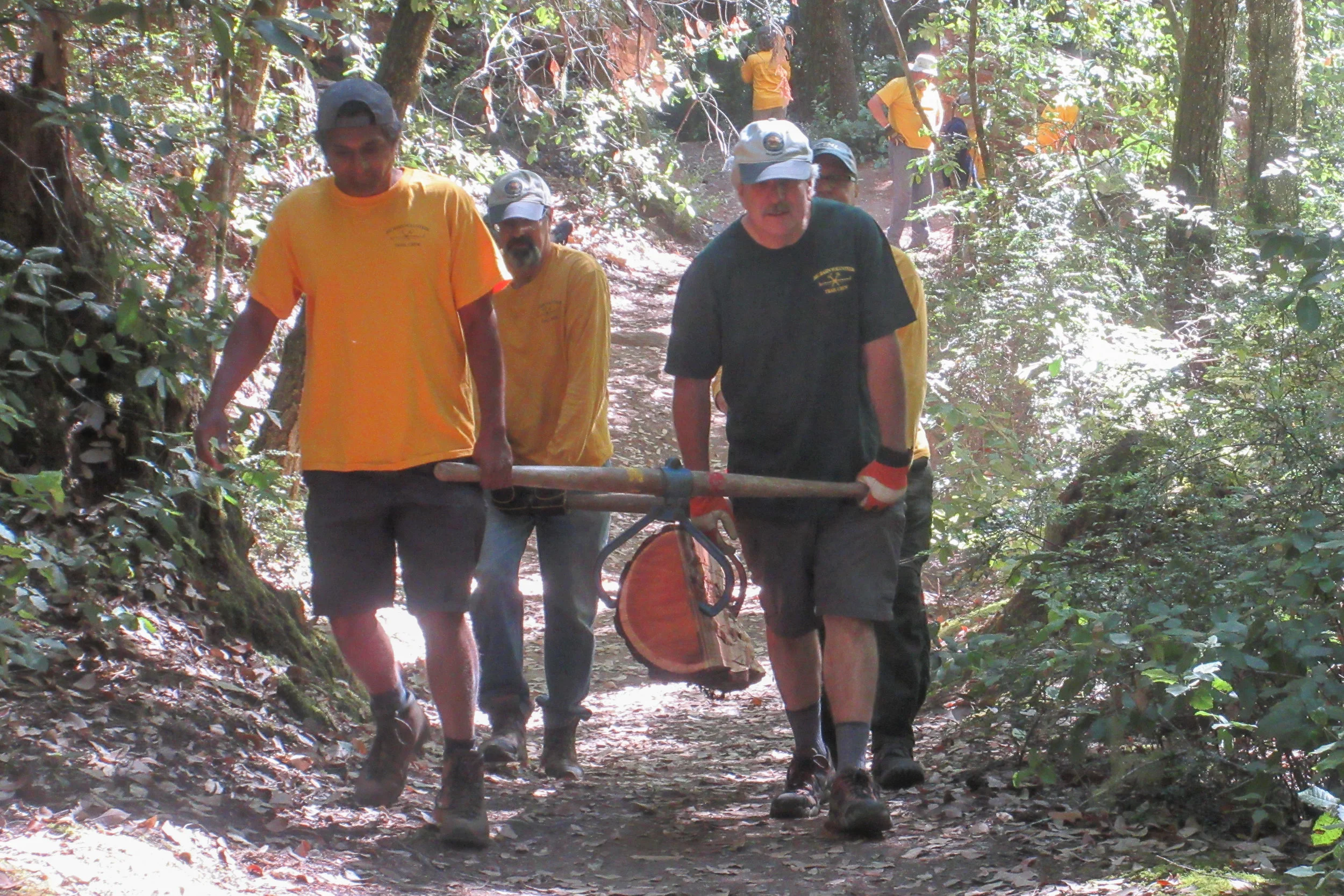 JUL 2019: Reconstruction of STS near Hollow Tree Trail