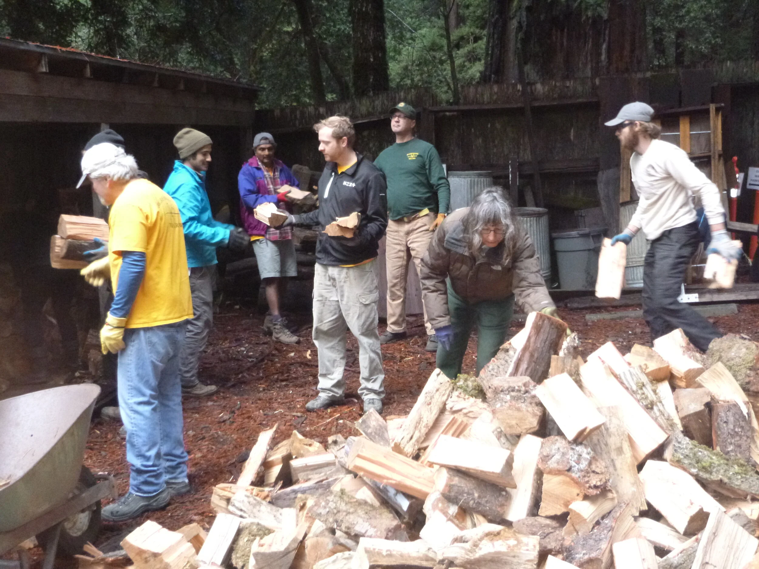 DEC 2109 - Moving Firewood then work on Creeping Forest and Meteor Trails