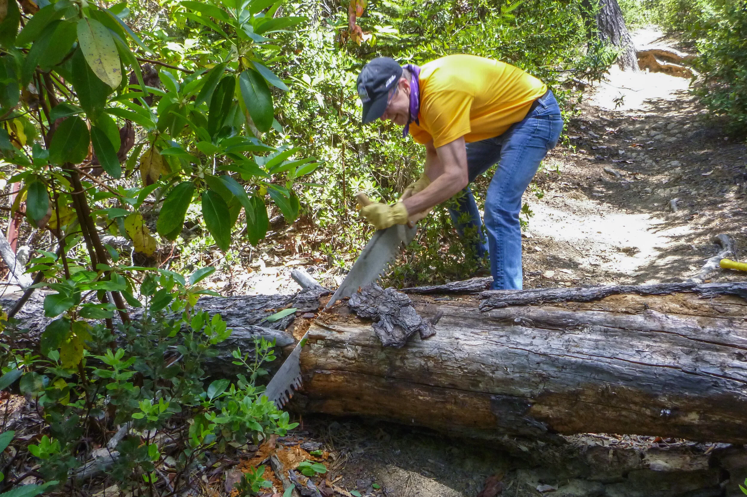 More Basin Cutting.JPG