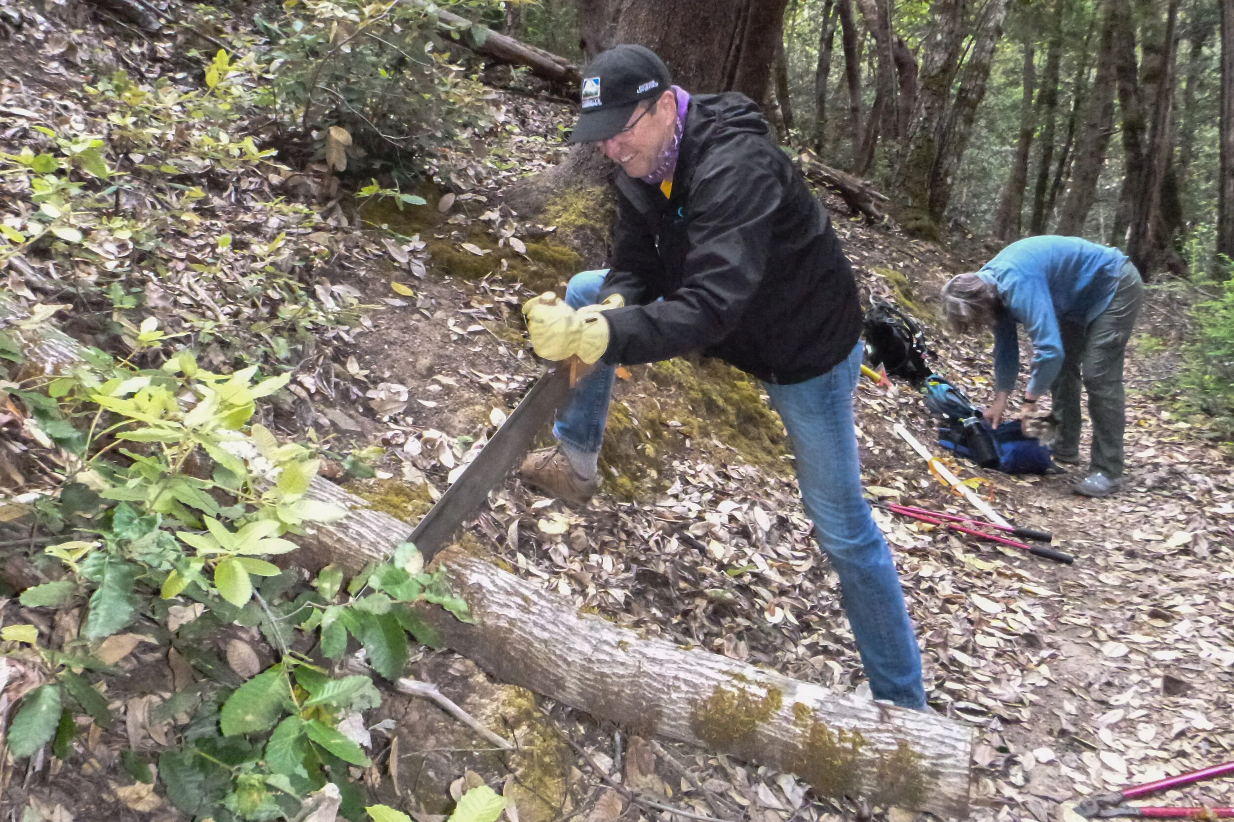 Back to Work - Basin Trail.JPG
