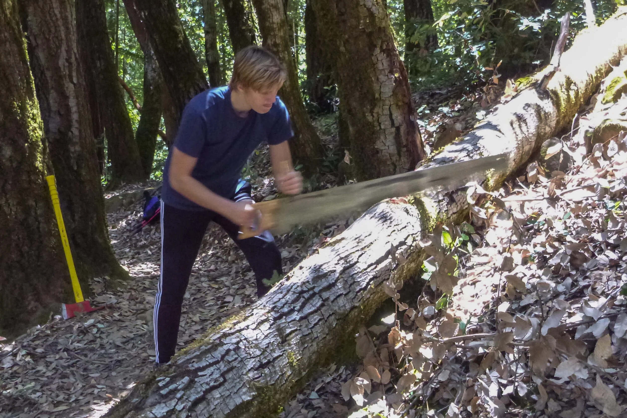 Concentrating on the Work.JPG