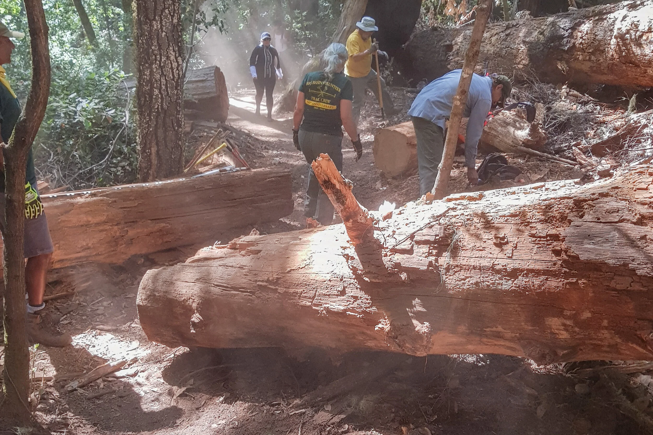 JUL 2020 - STTS, Blooms Creek, Last Chance, Meteor, and Creeping Forest Trails