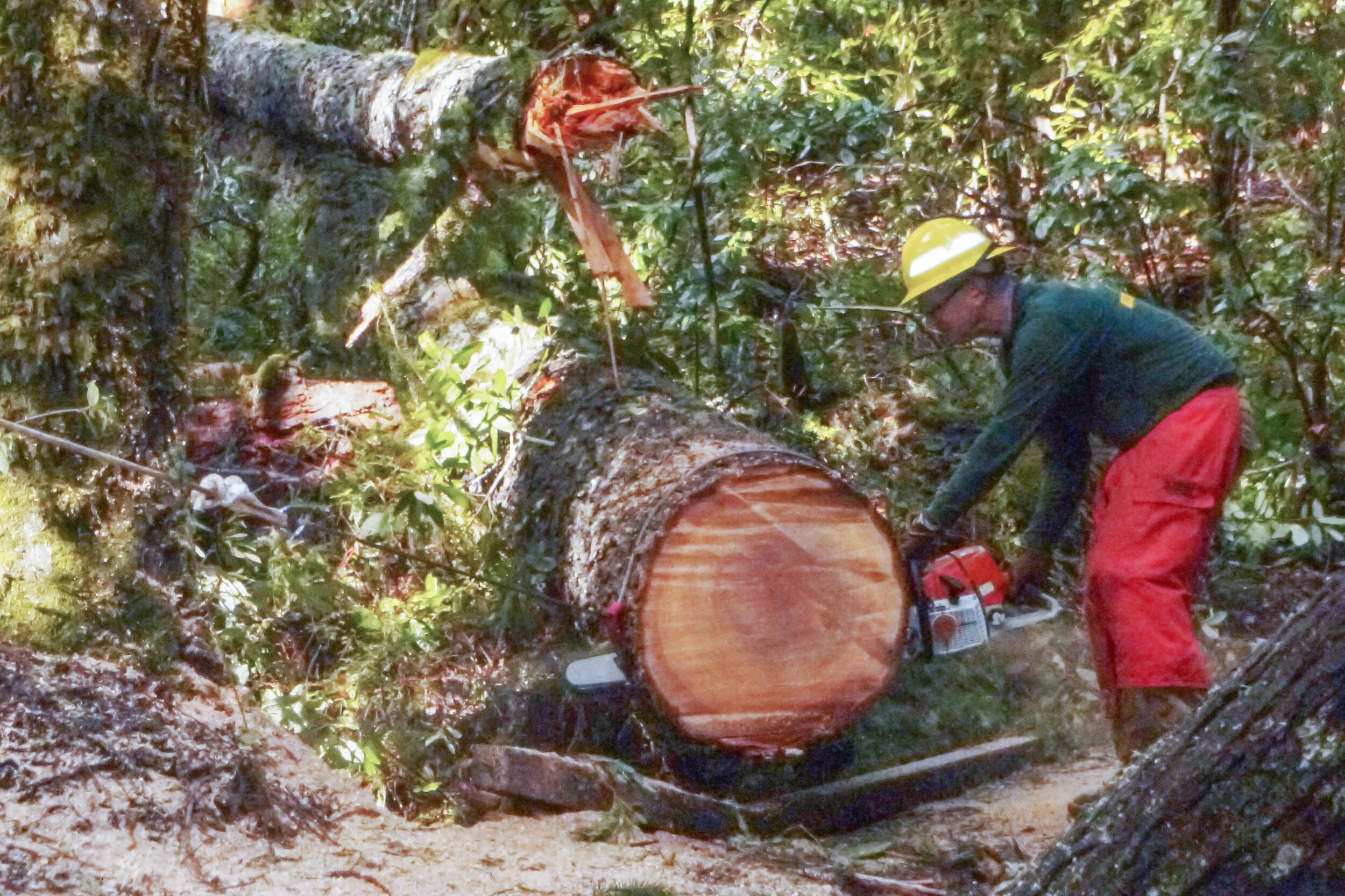 FEB 2021 - No Workday but Some Good News