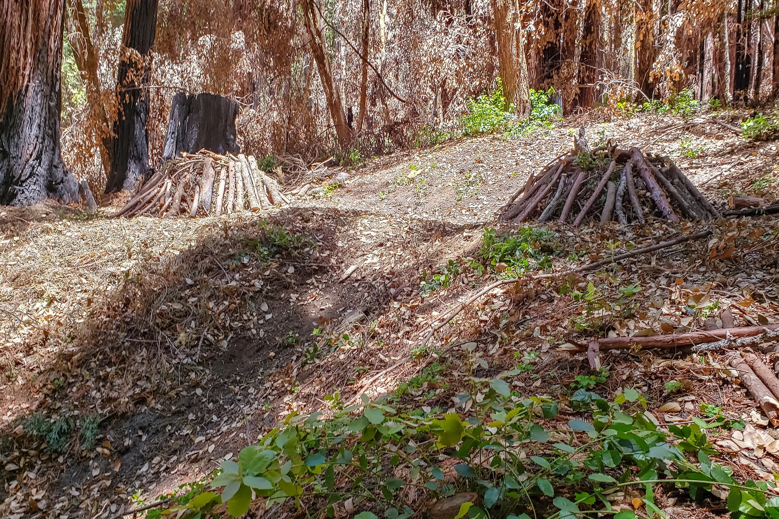 JUN 12 2021 - Fall Creek Part 4