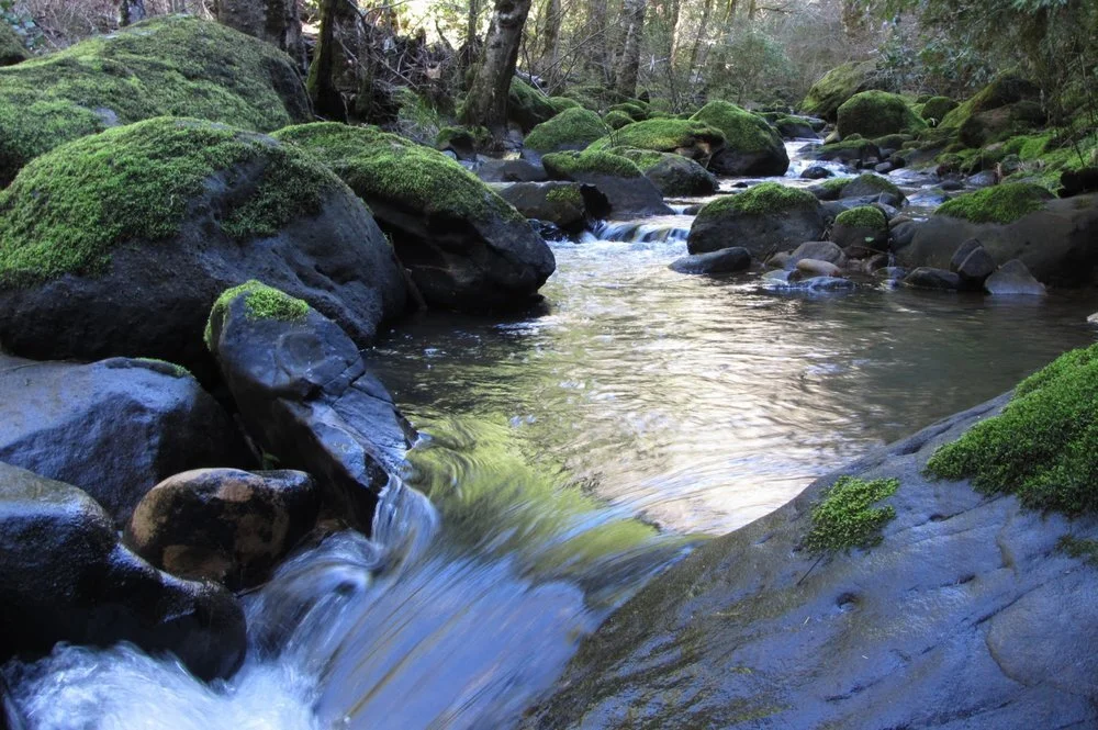 JUL 10 2021 - Canceled Workday Due to Heatwave