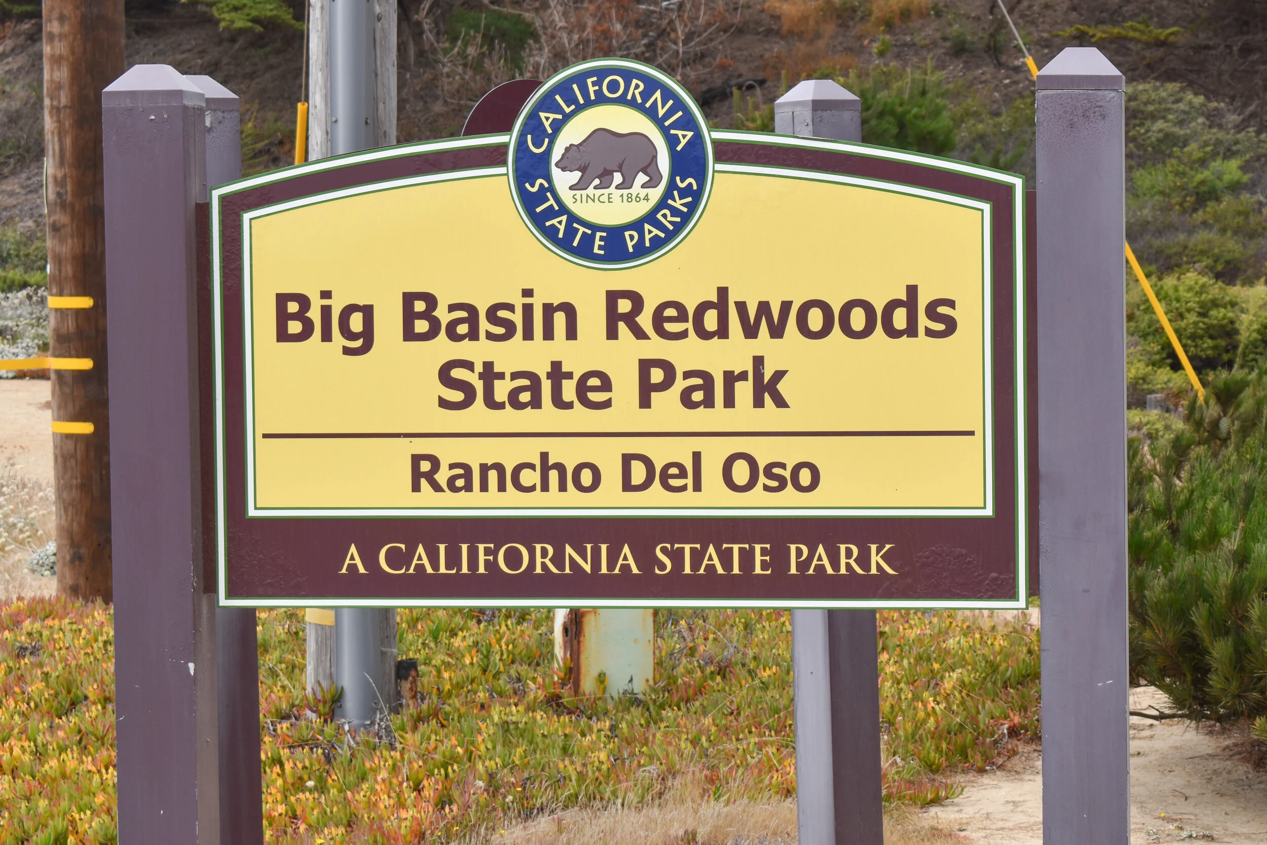 JUL 24 2021 - RDO at Wadell Beach