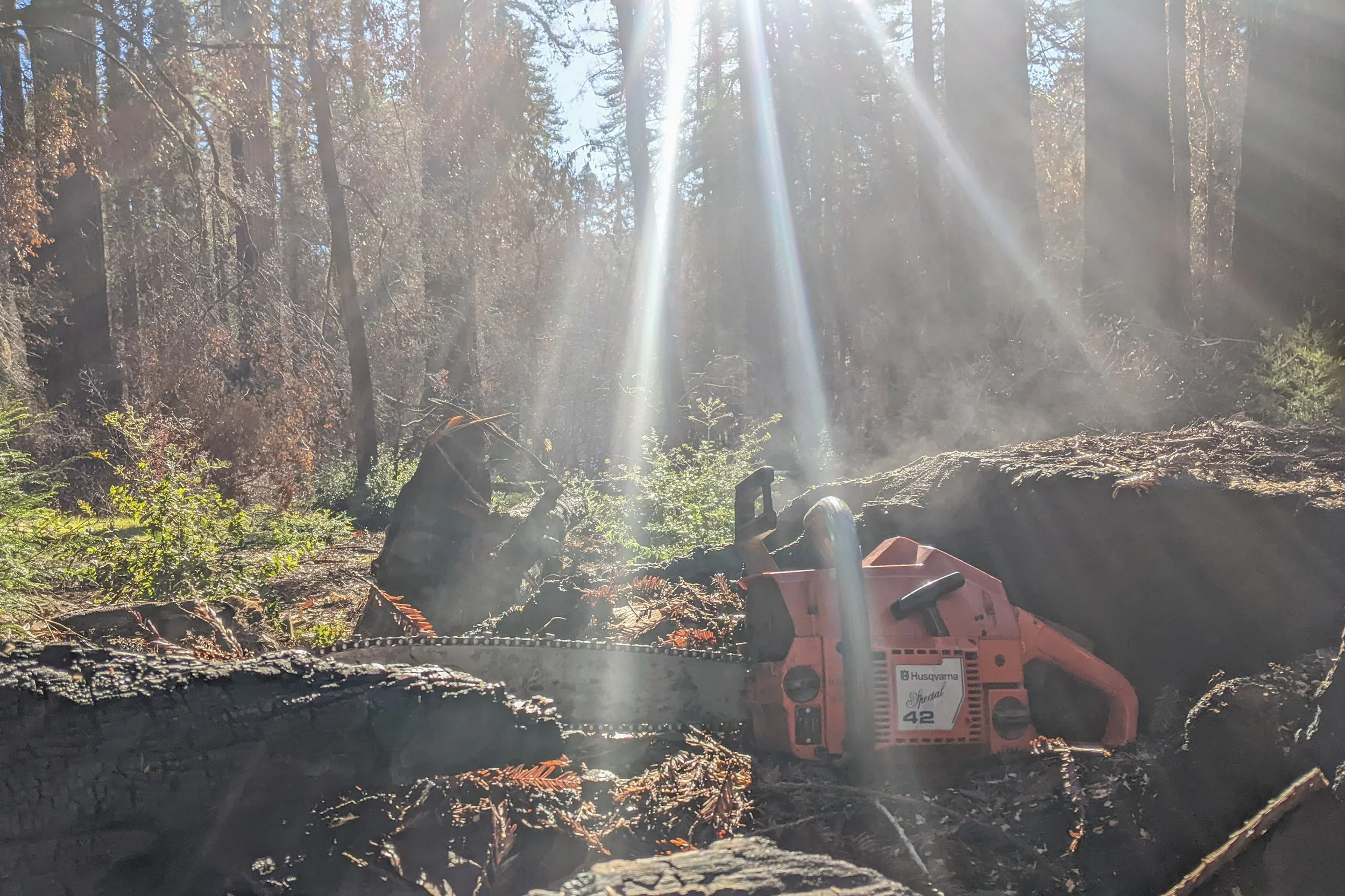 JAN 8 and 22 - Redwood Loop Burn Piles