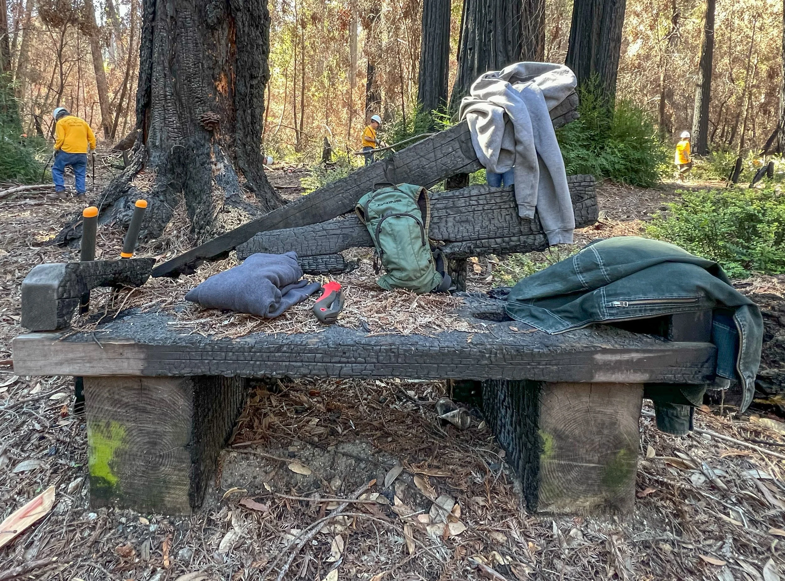FEB 5 and 19 - Redwood Loop Burn Piles