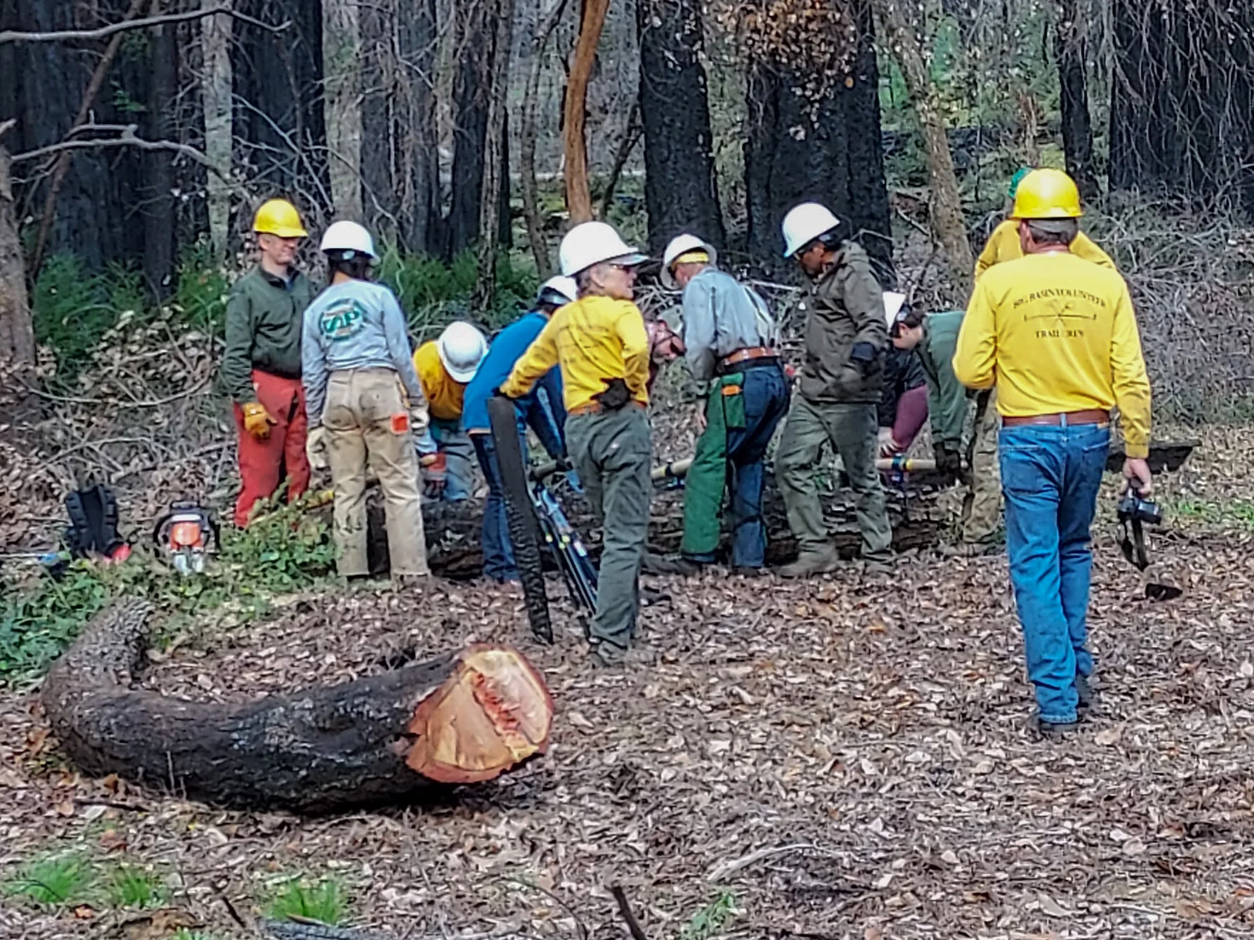 Trail Crew Big Basin.JPG