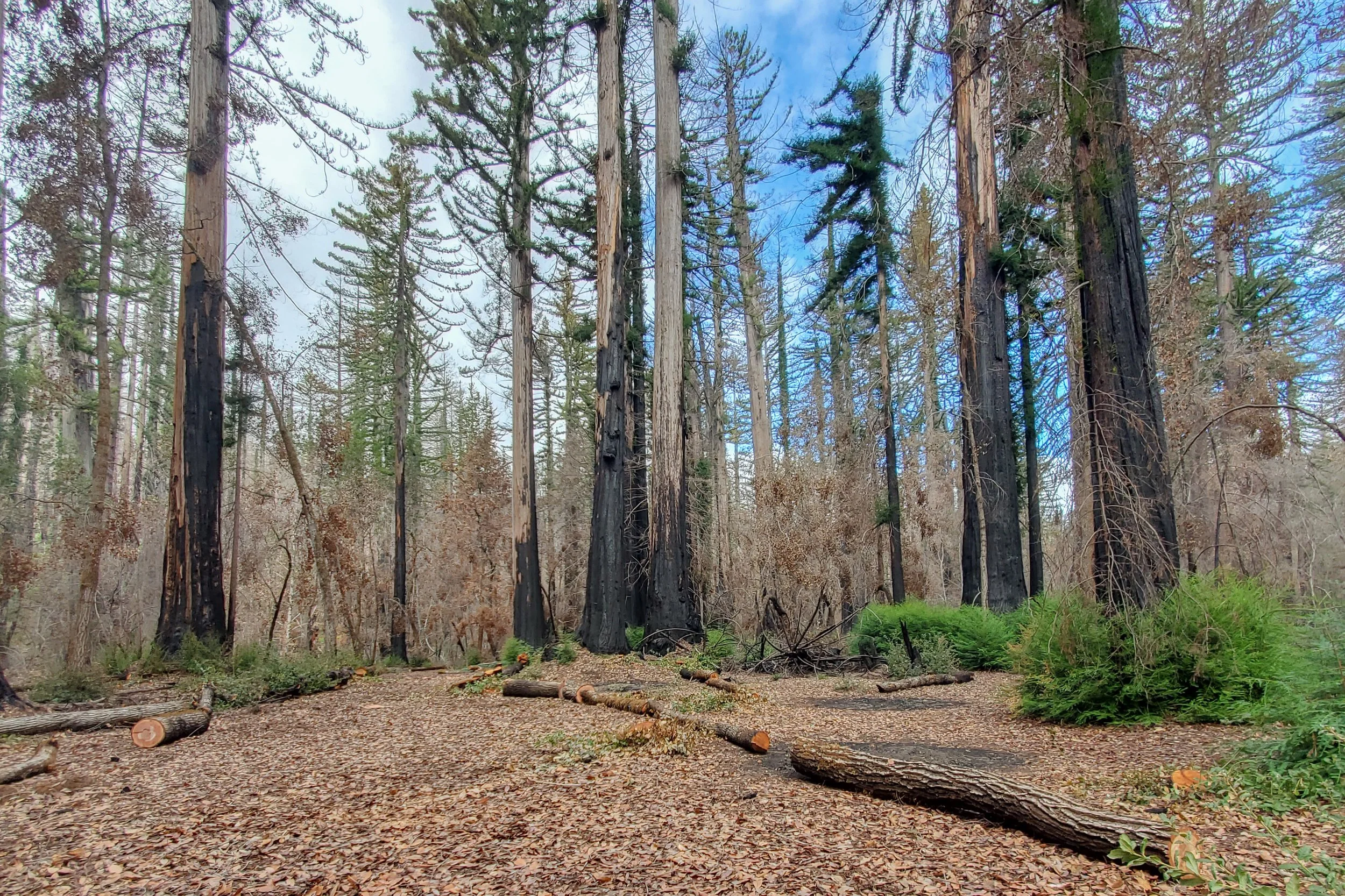 20220305_112454.JPG