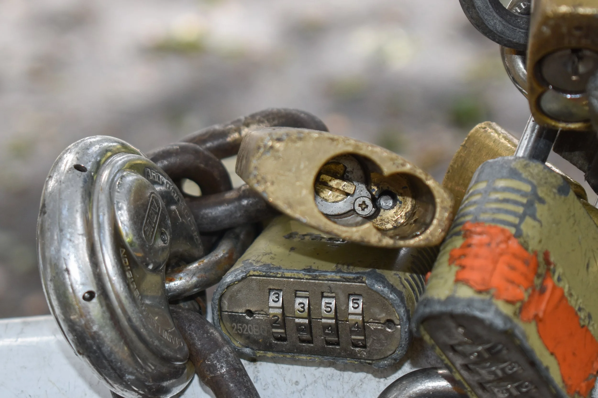 APR 16 - Back to the Redwood Loop