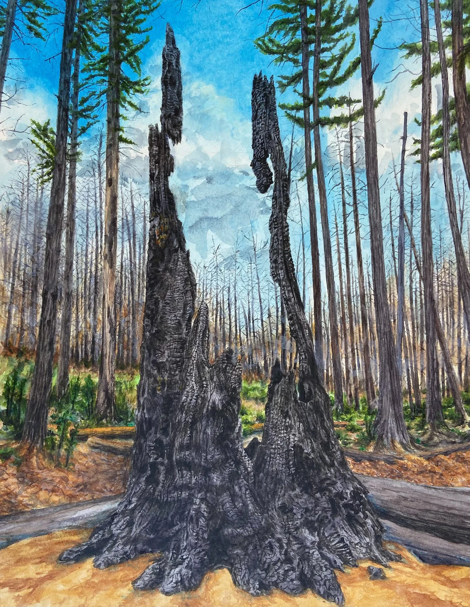 MAY 28 - Redwood Loop