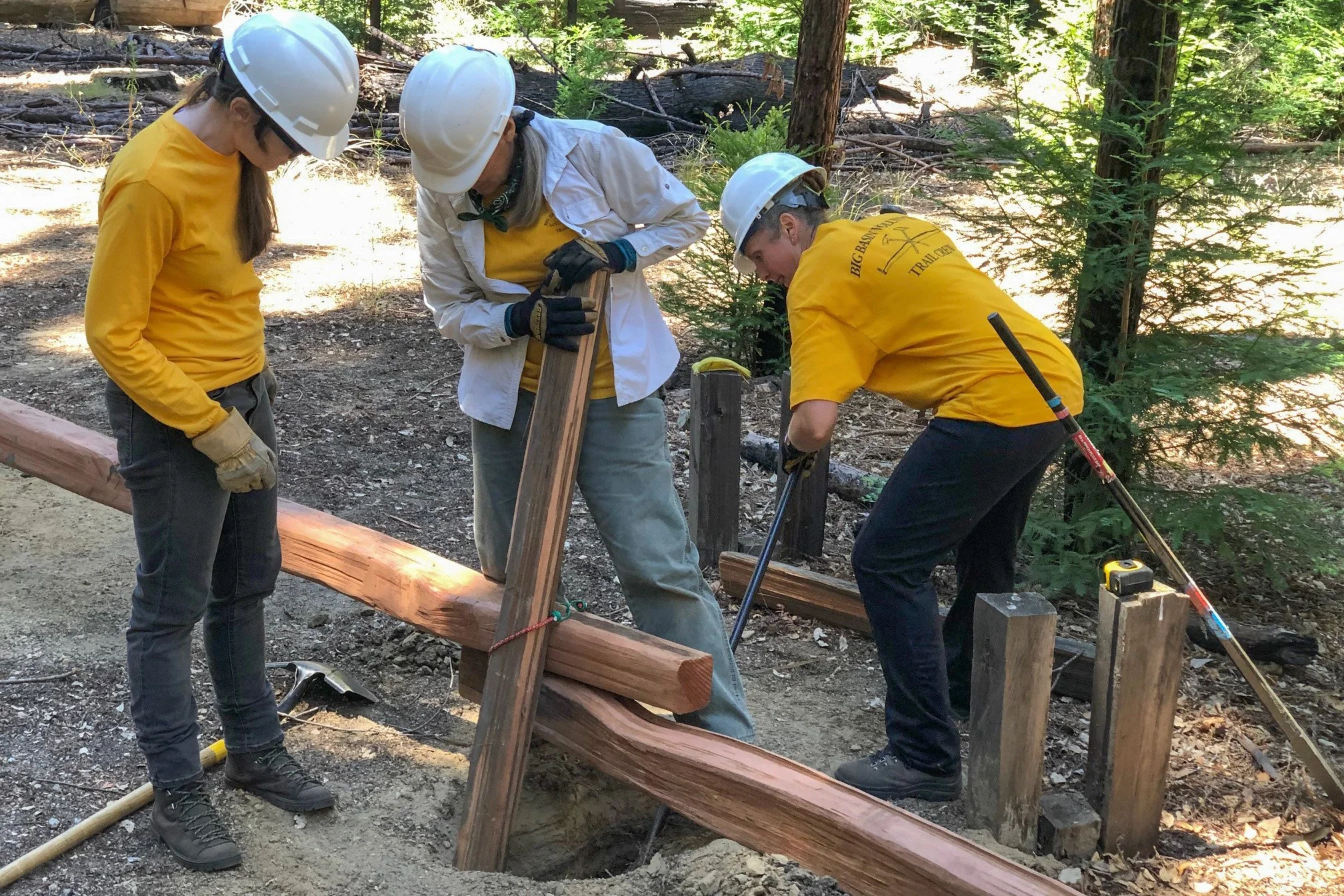 JUL 9 - Redwood Loop - Spilt Rail Fence