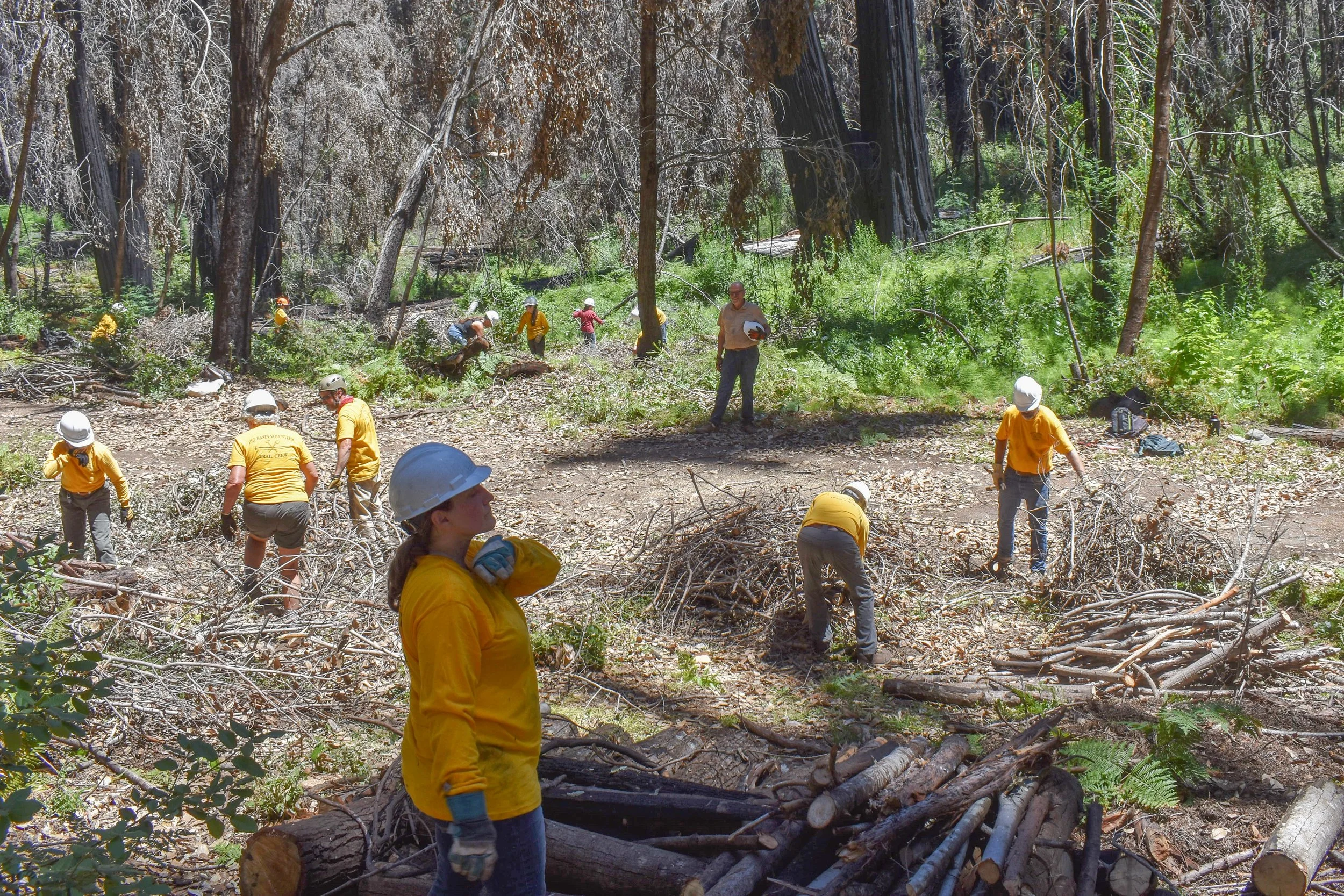 JUL 23 - North Escape Road Burn Piles Again