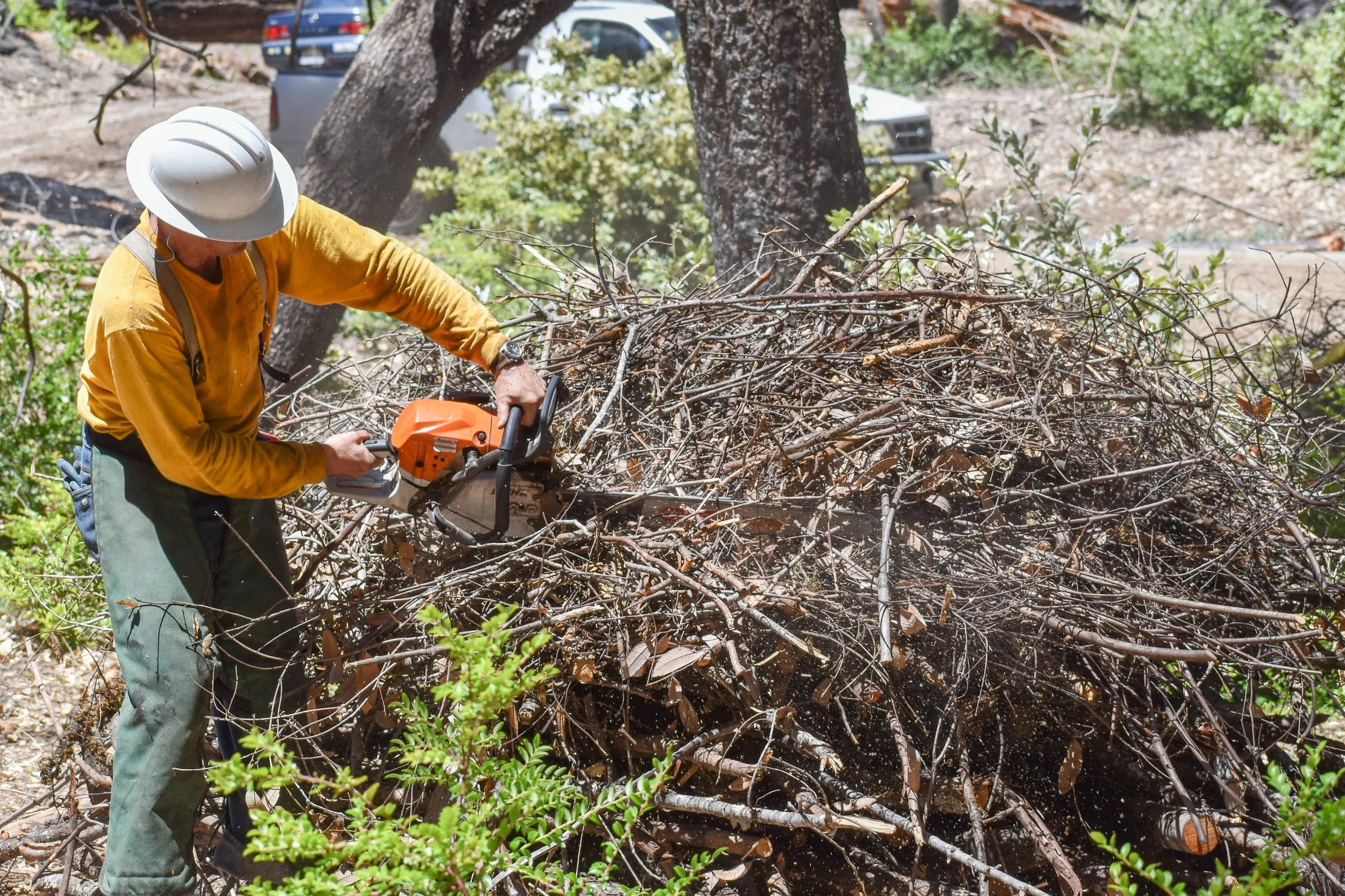 JUN 11 - Gazos Creek Picnic Area