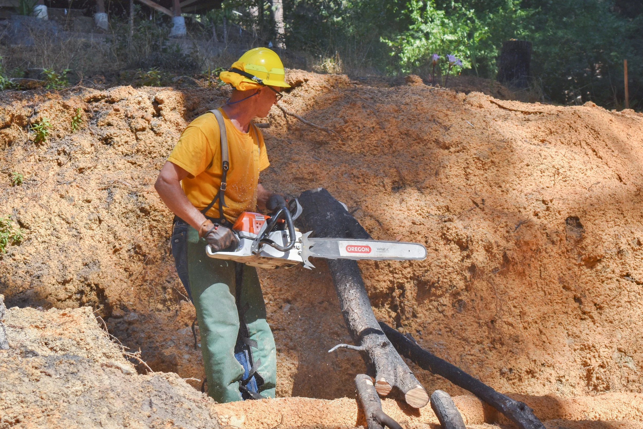 OCT 2, 9 and 23 - BC Homesteads, Bonny Doon, BC Homesteads