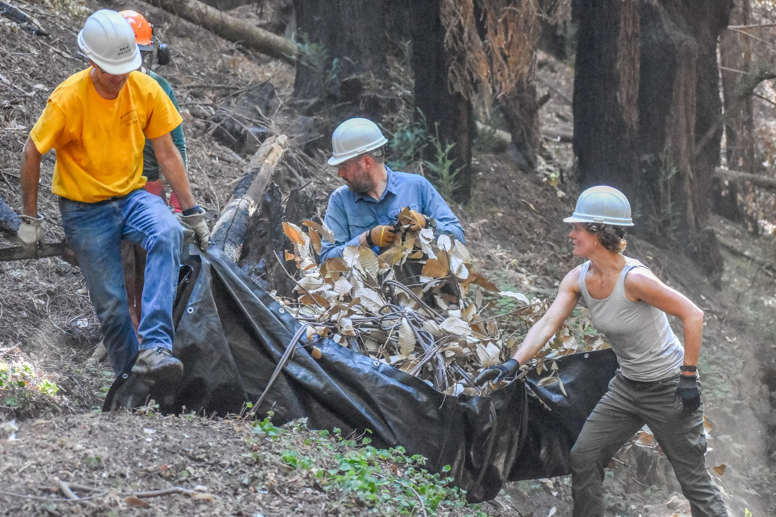 SEP 11 &amp; 25 2021 - Fall Creek Part 8 &amp; 9