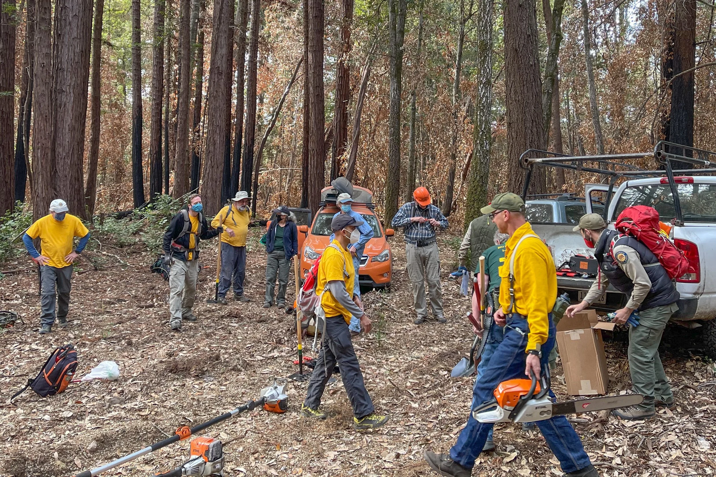 APR 2021 - Fall Creek at Henry Cowell SP