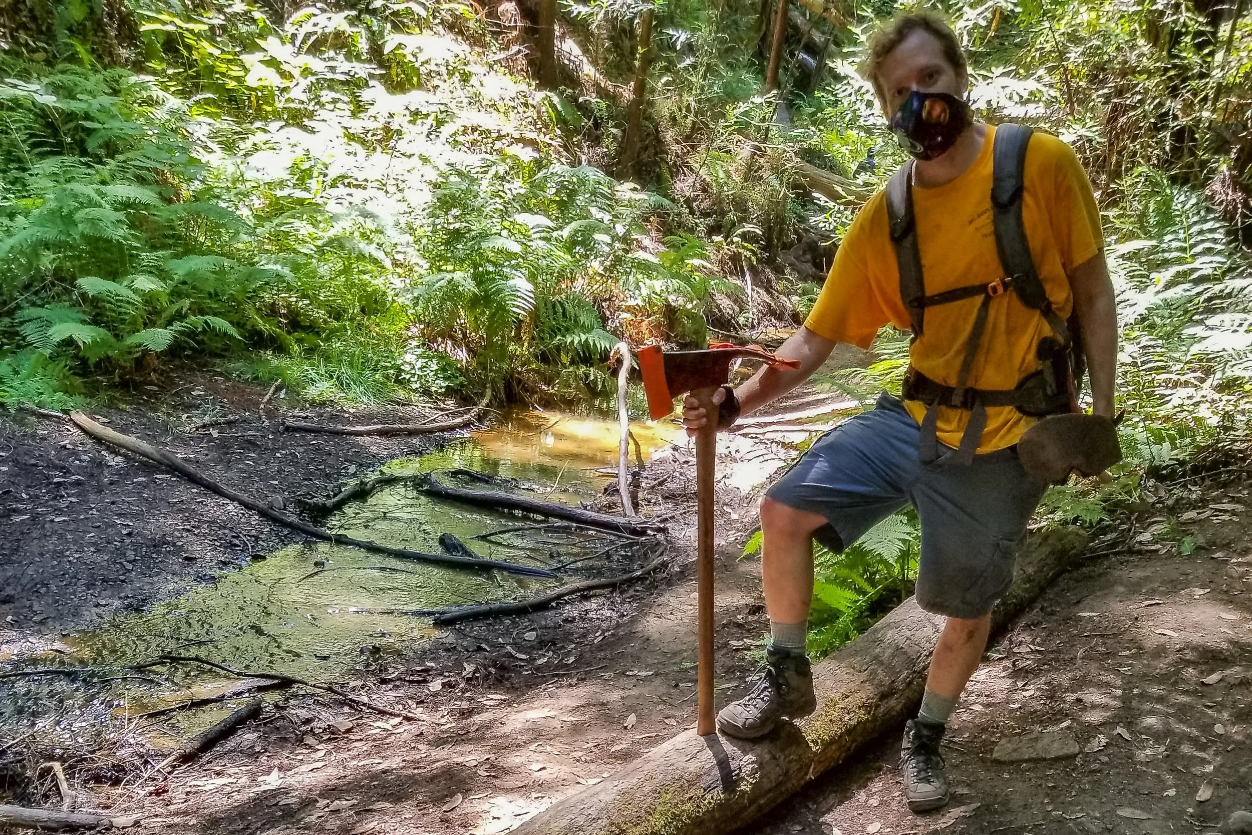 AUG 2020 - Berry Creek Falls Area