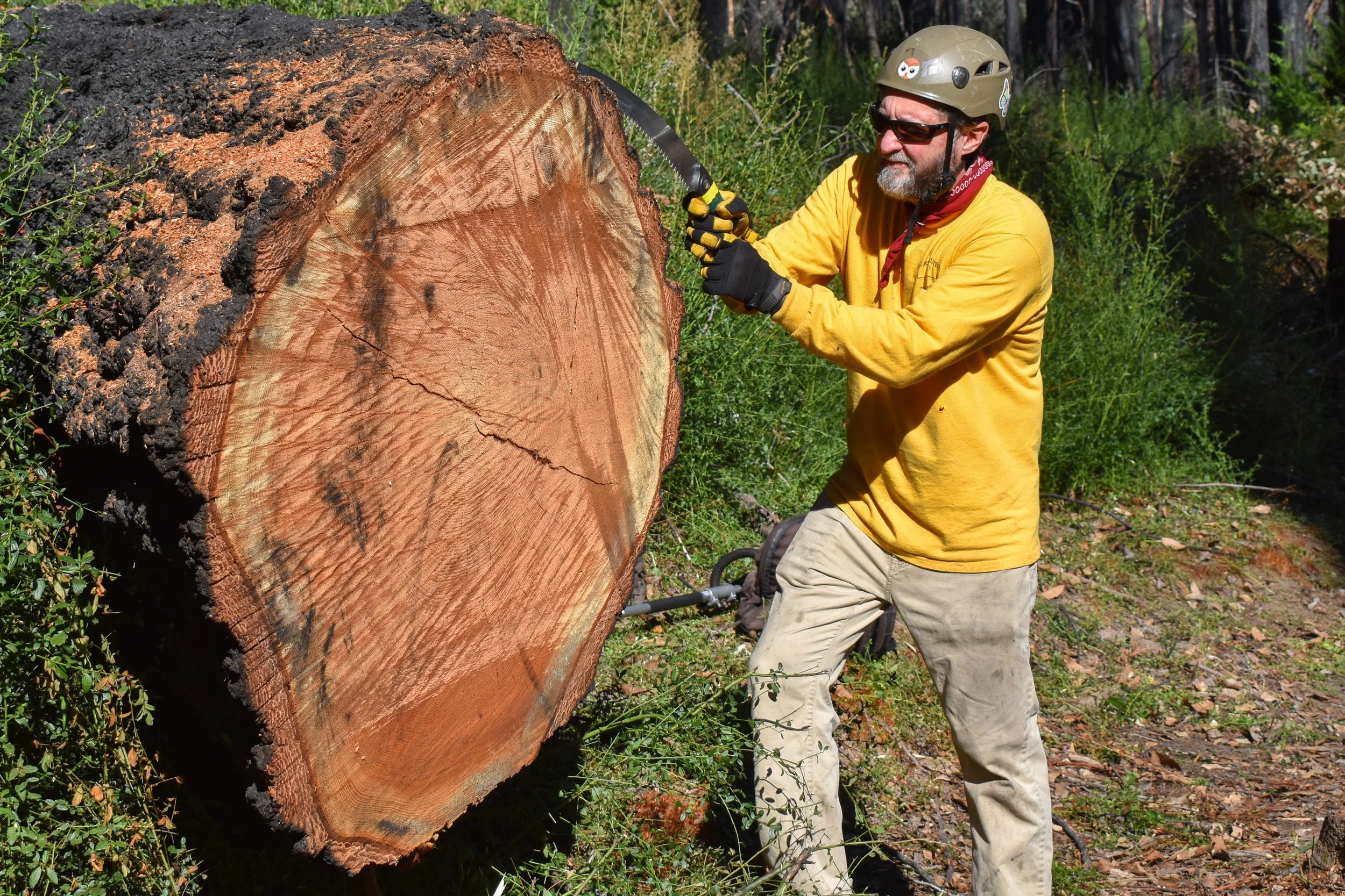 OCT 29 - Sunset Trail