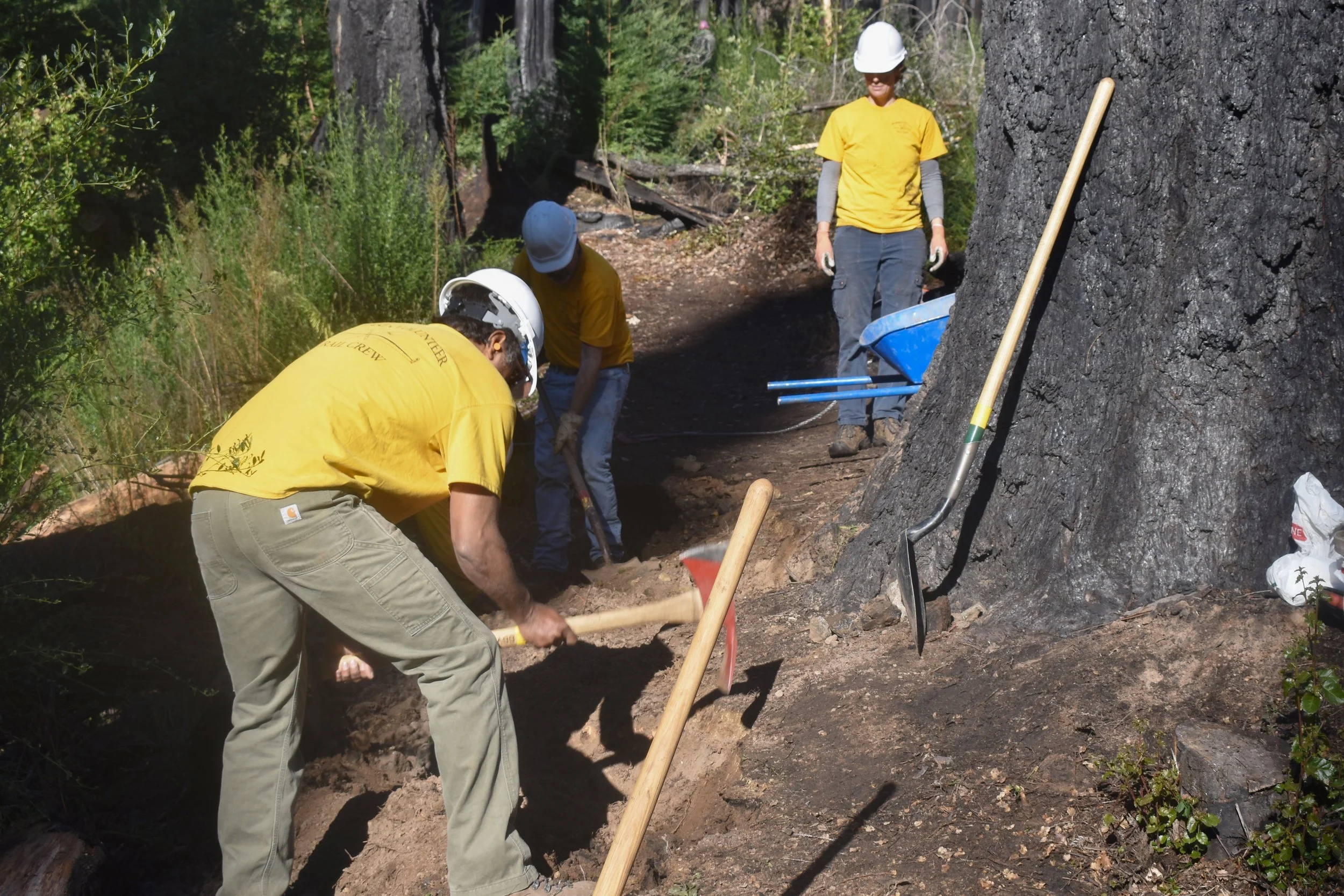 Deconstructing Old Damaged Trail.JPG