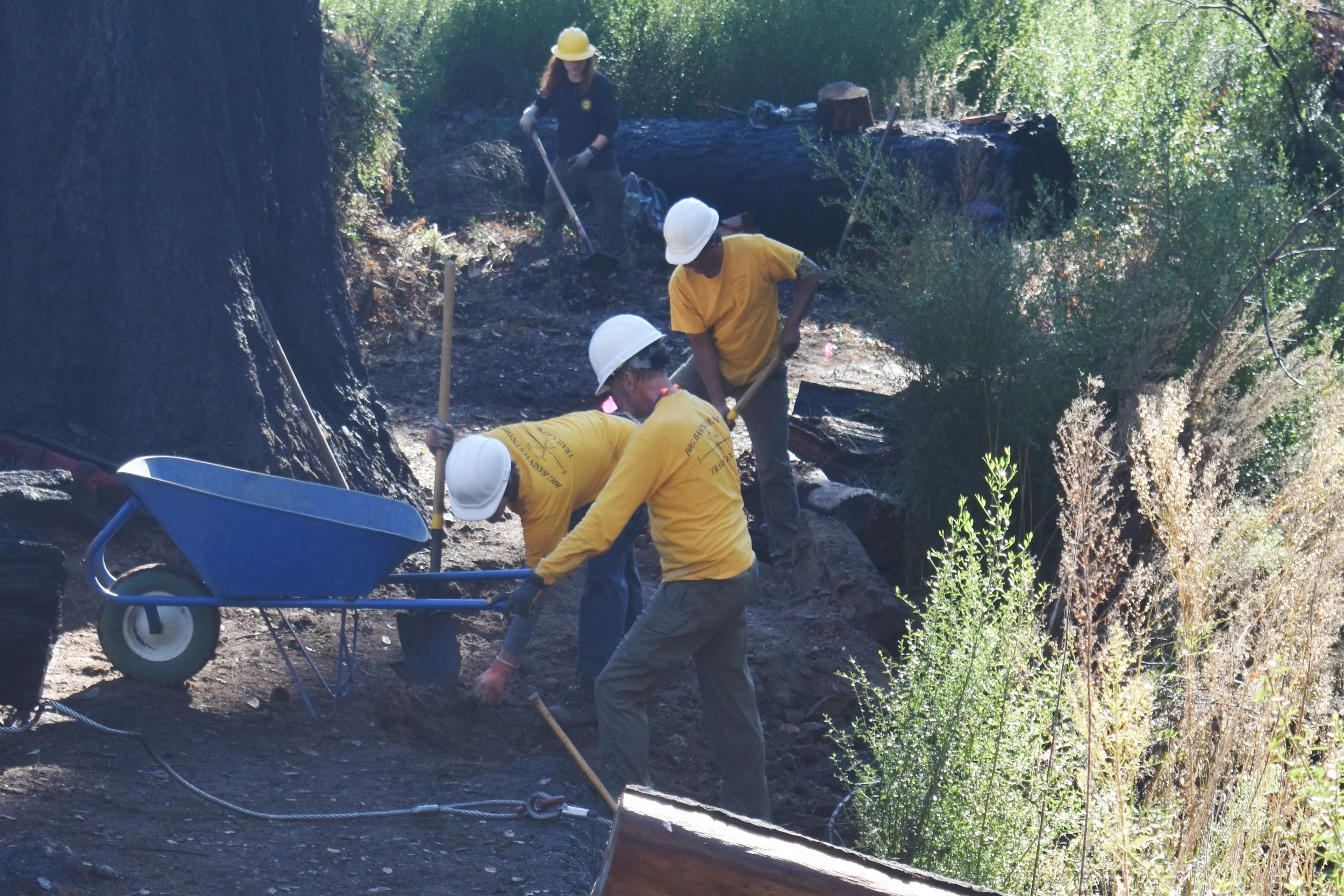 Deconstructing Old Trail.JPG