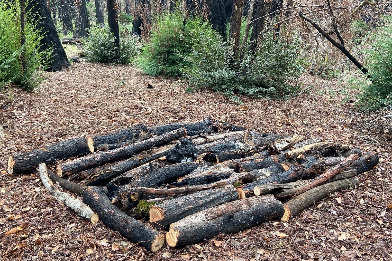 burnpilebase.JPG