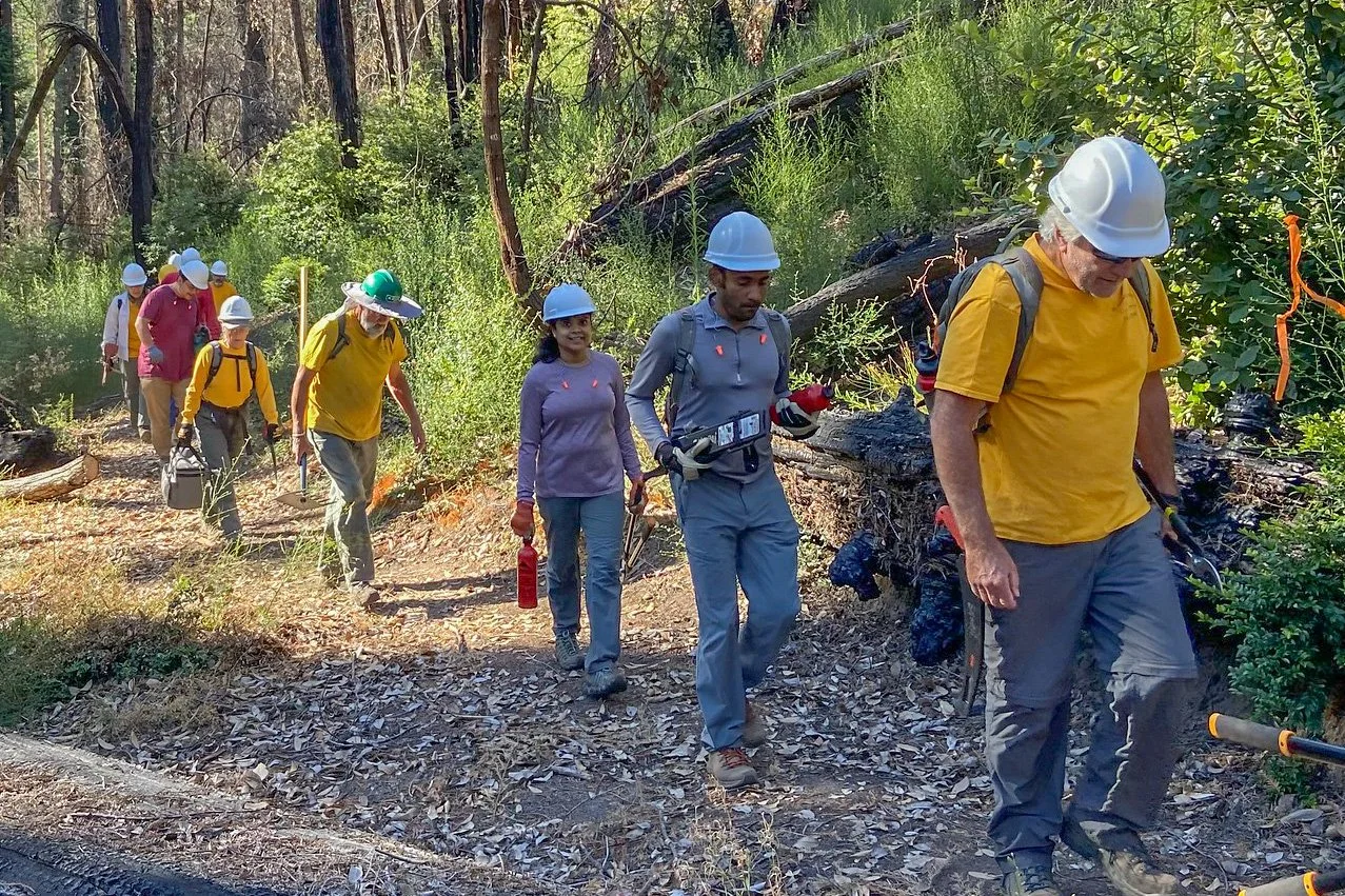 2022 - Year End Summary