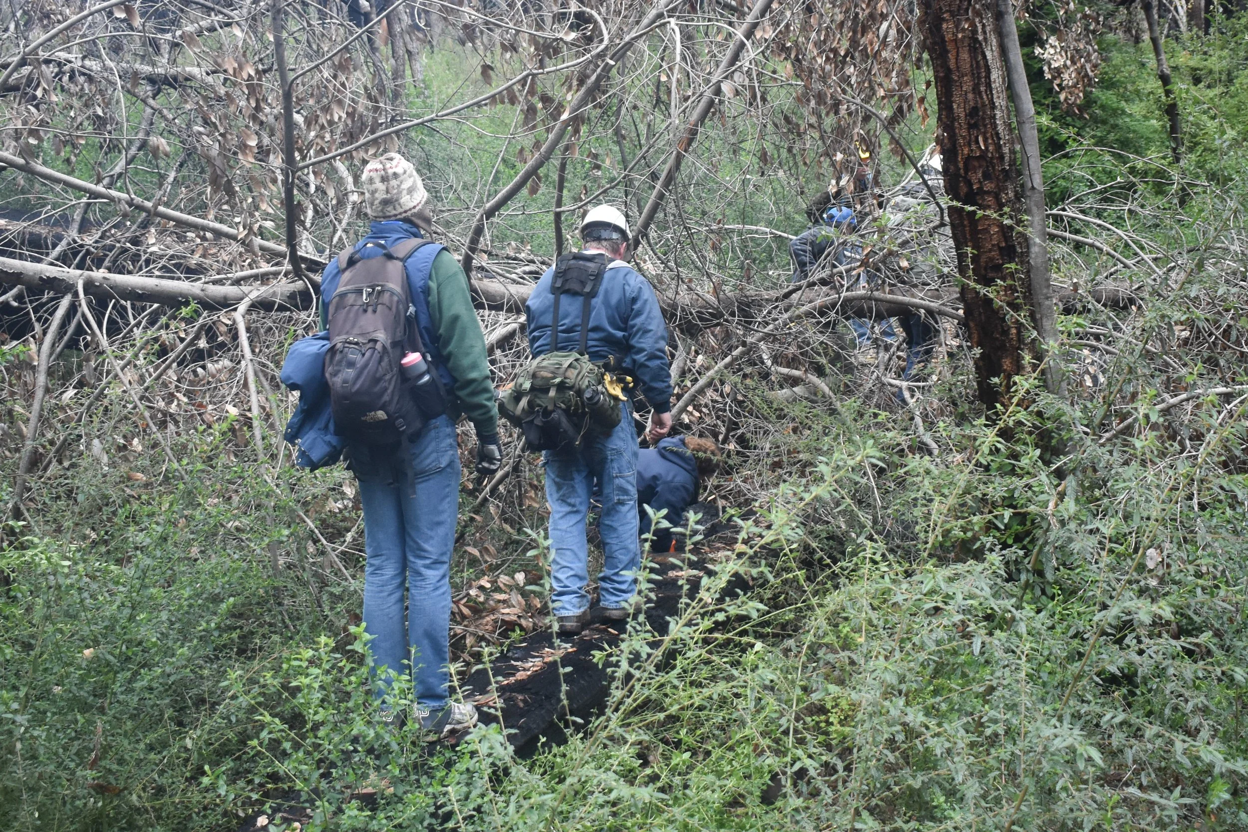 STS Between RWL and Middle Ridge.jpg