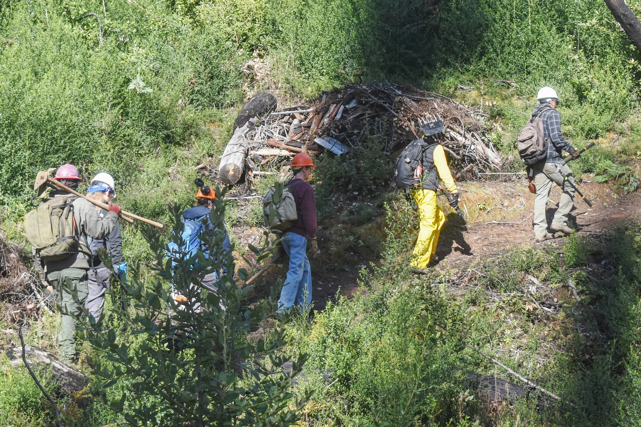 Lower Dool Trail.jpg