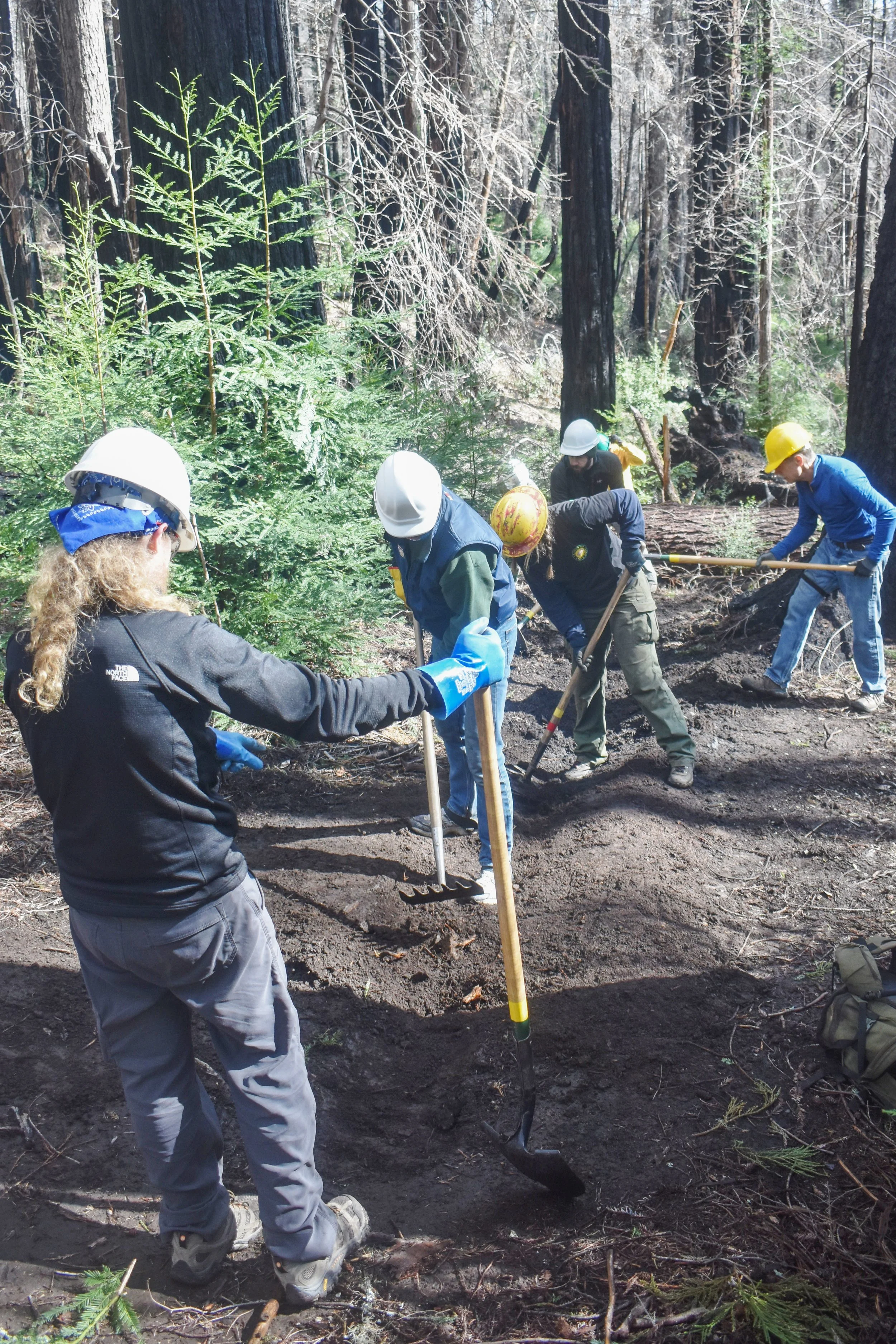 Rolling Dip Work - Upper Dool.jpg