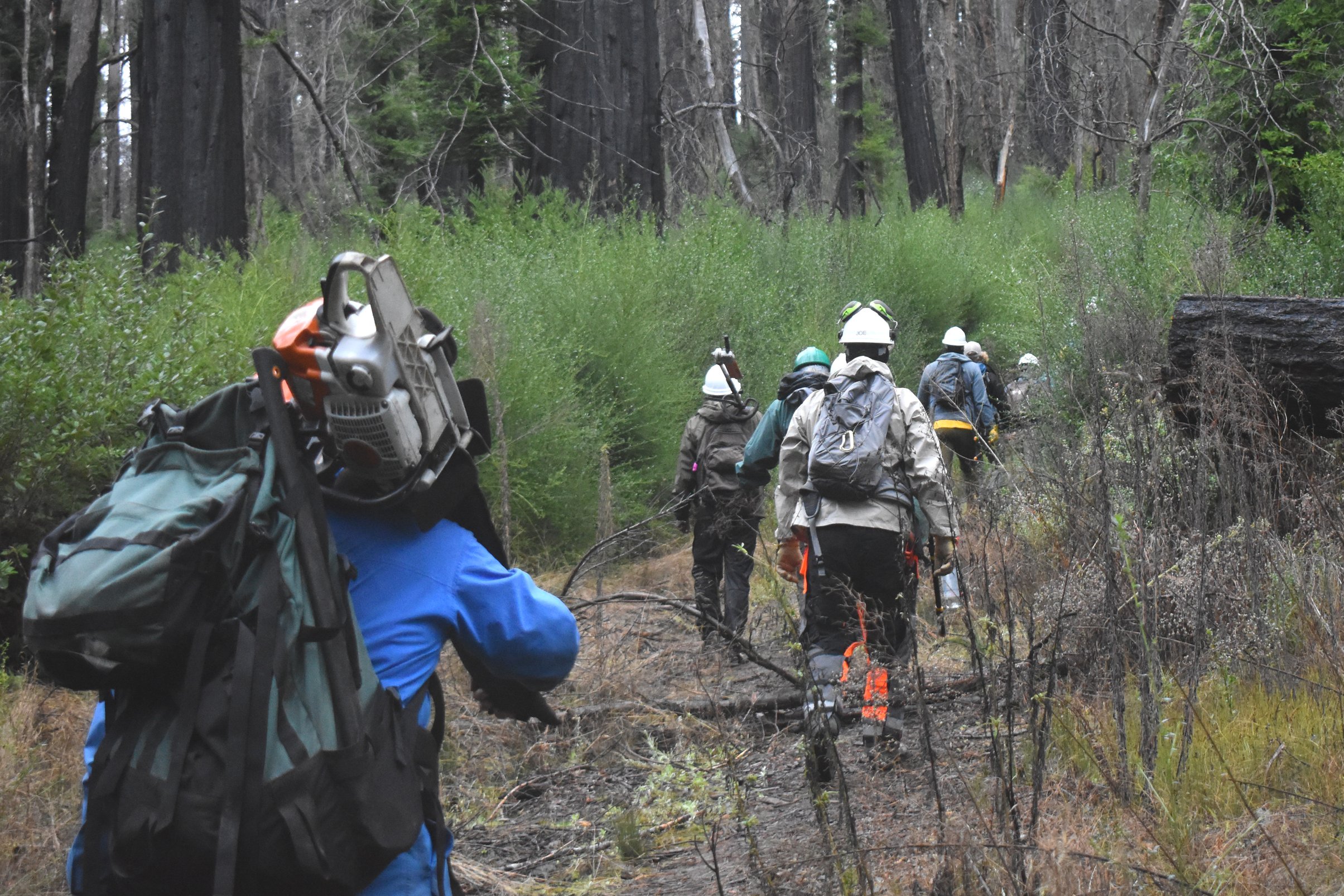 Hike+in+From+Jay+Camp.jpg