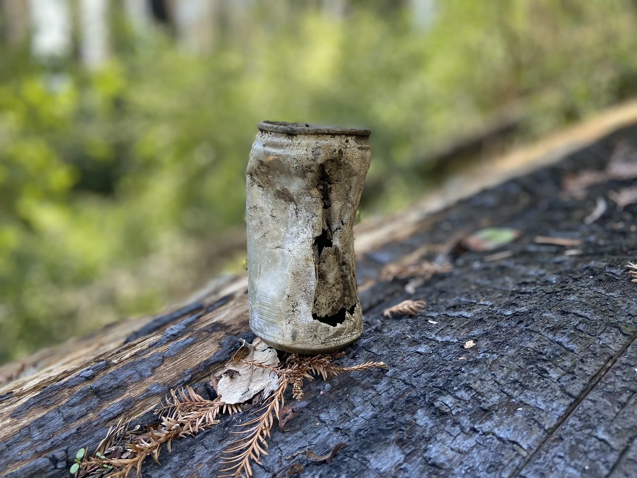 soda can relic.jpg