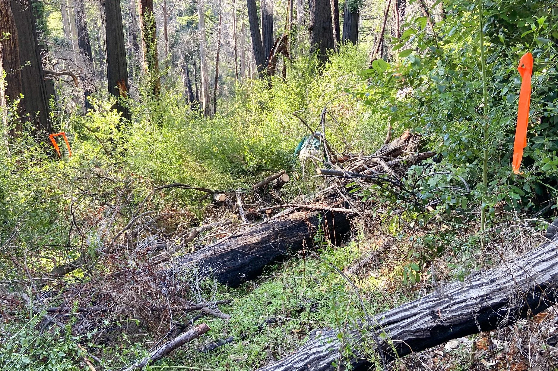 before clearing a reroute.jpg