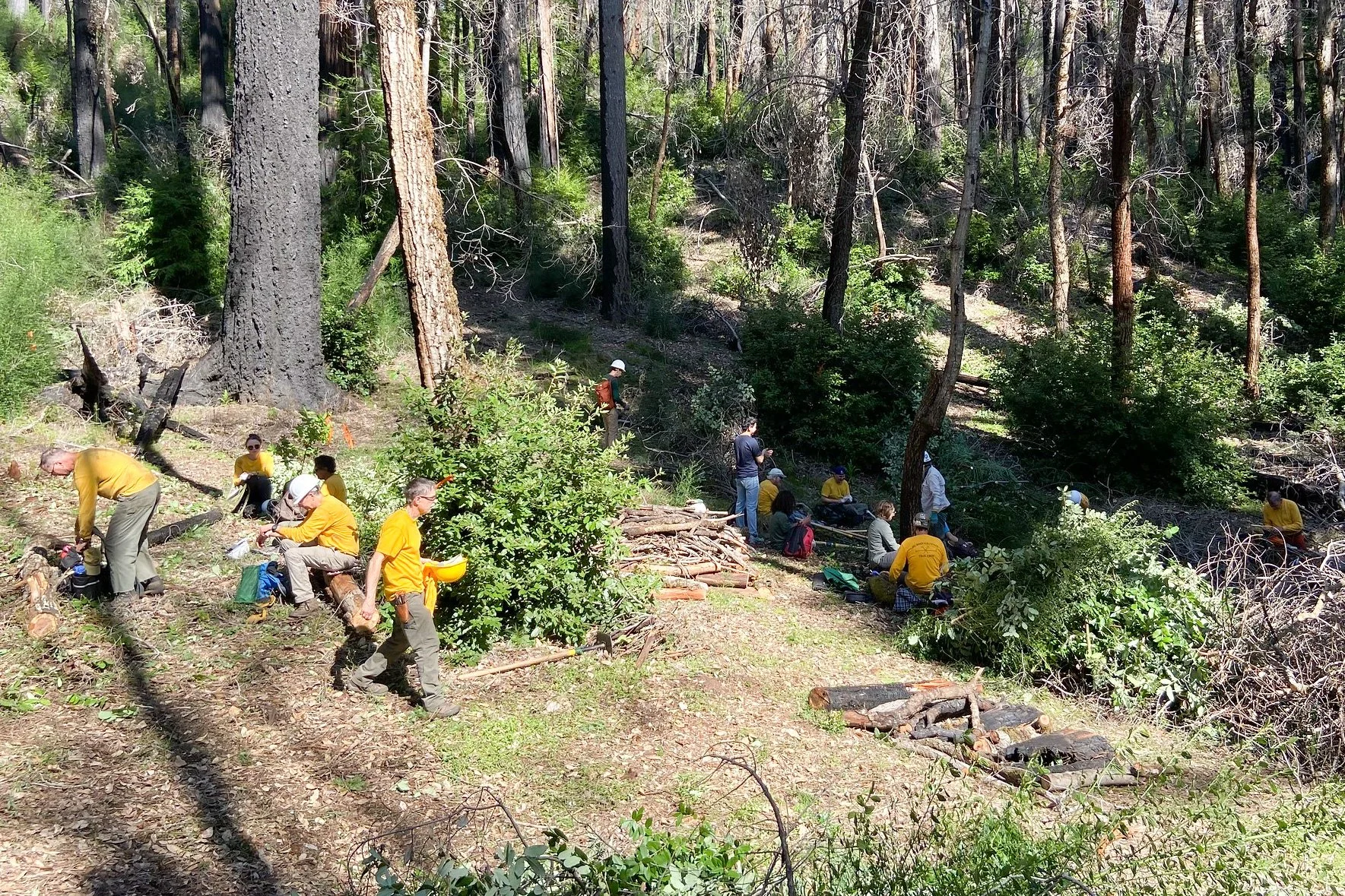 FEB 24 - Sequoia Trail Continues