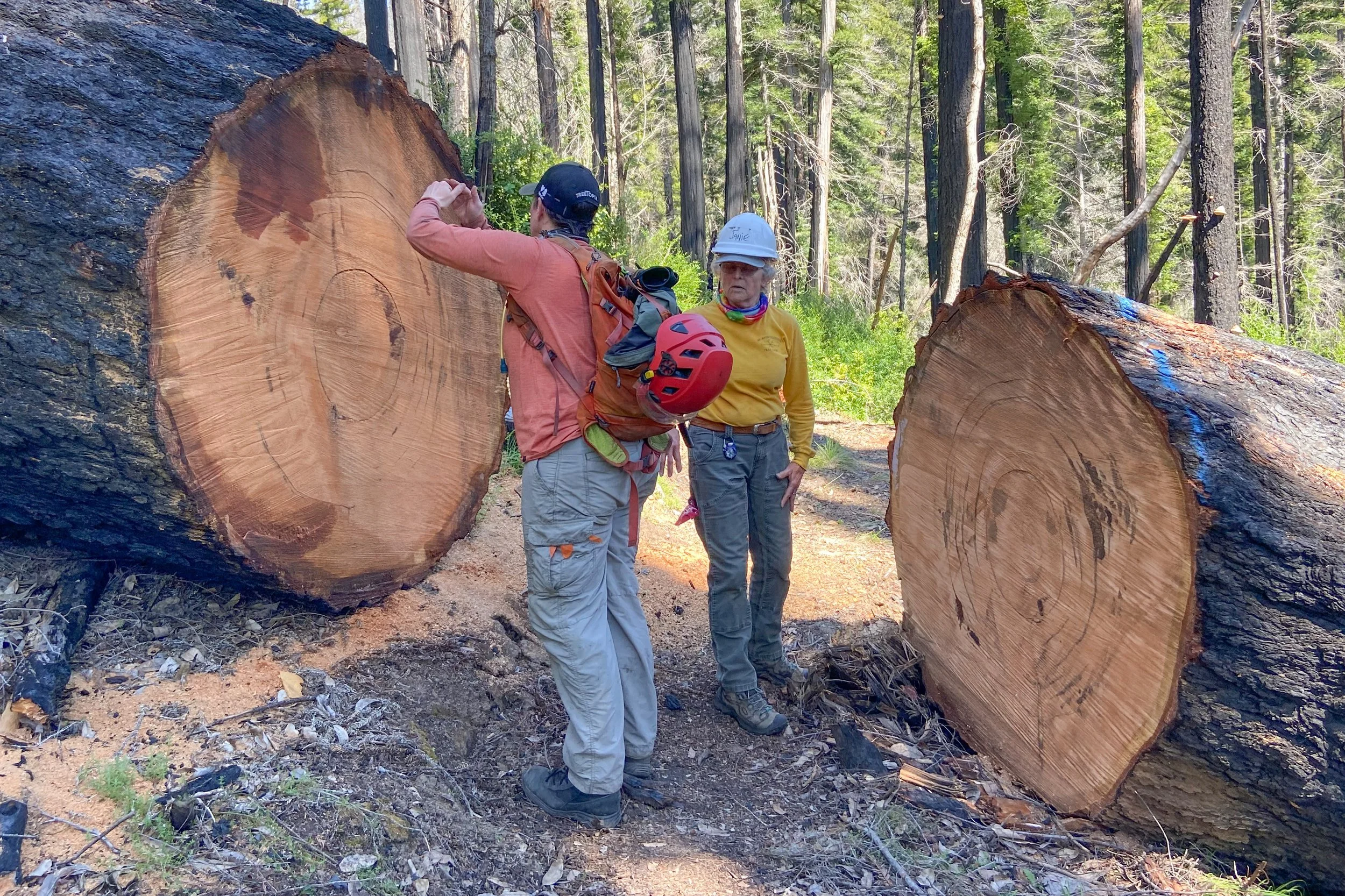 APR 20 - Sequoia Trail