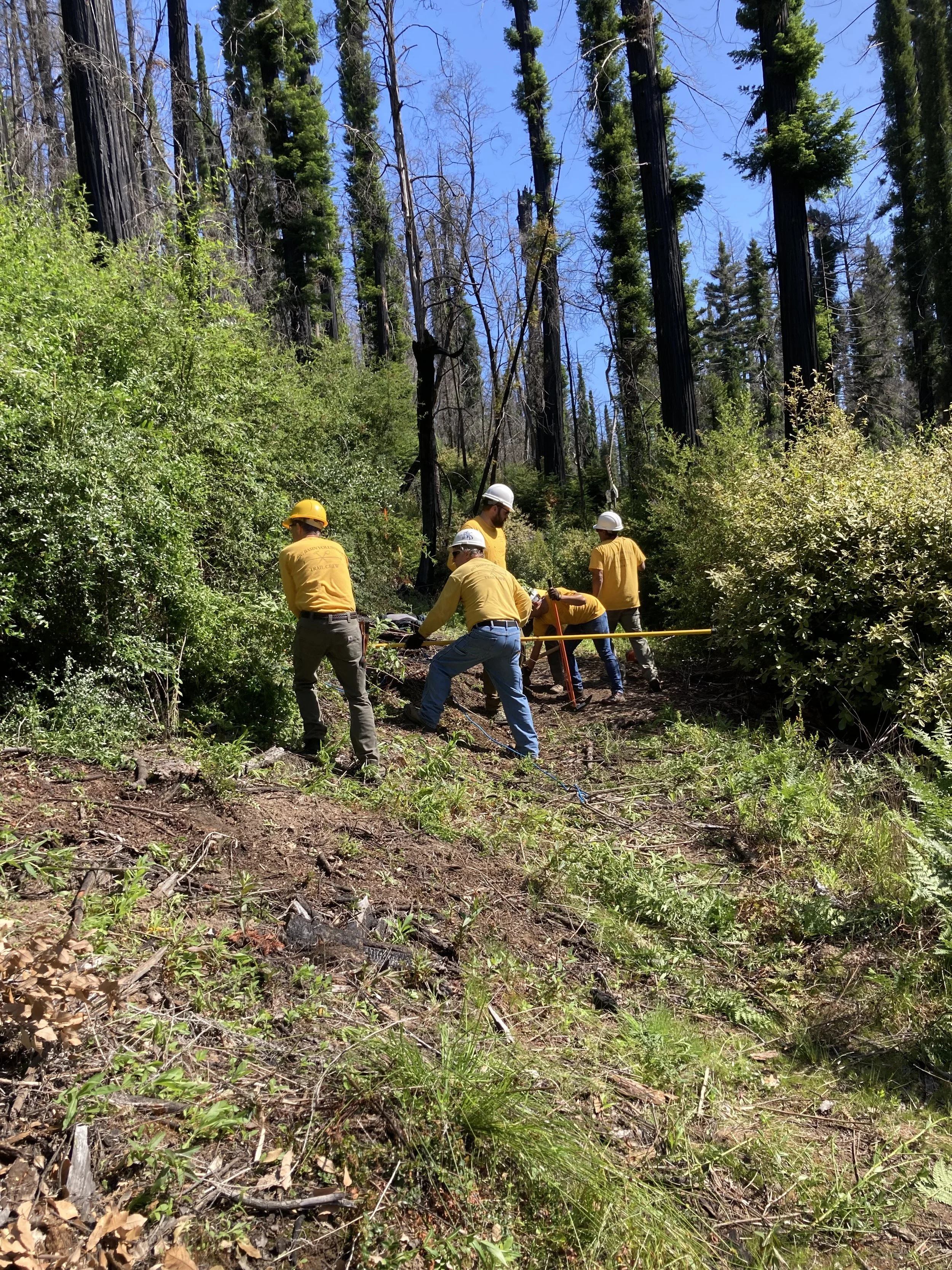 JUN 1 - Sequoia Trail