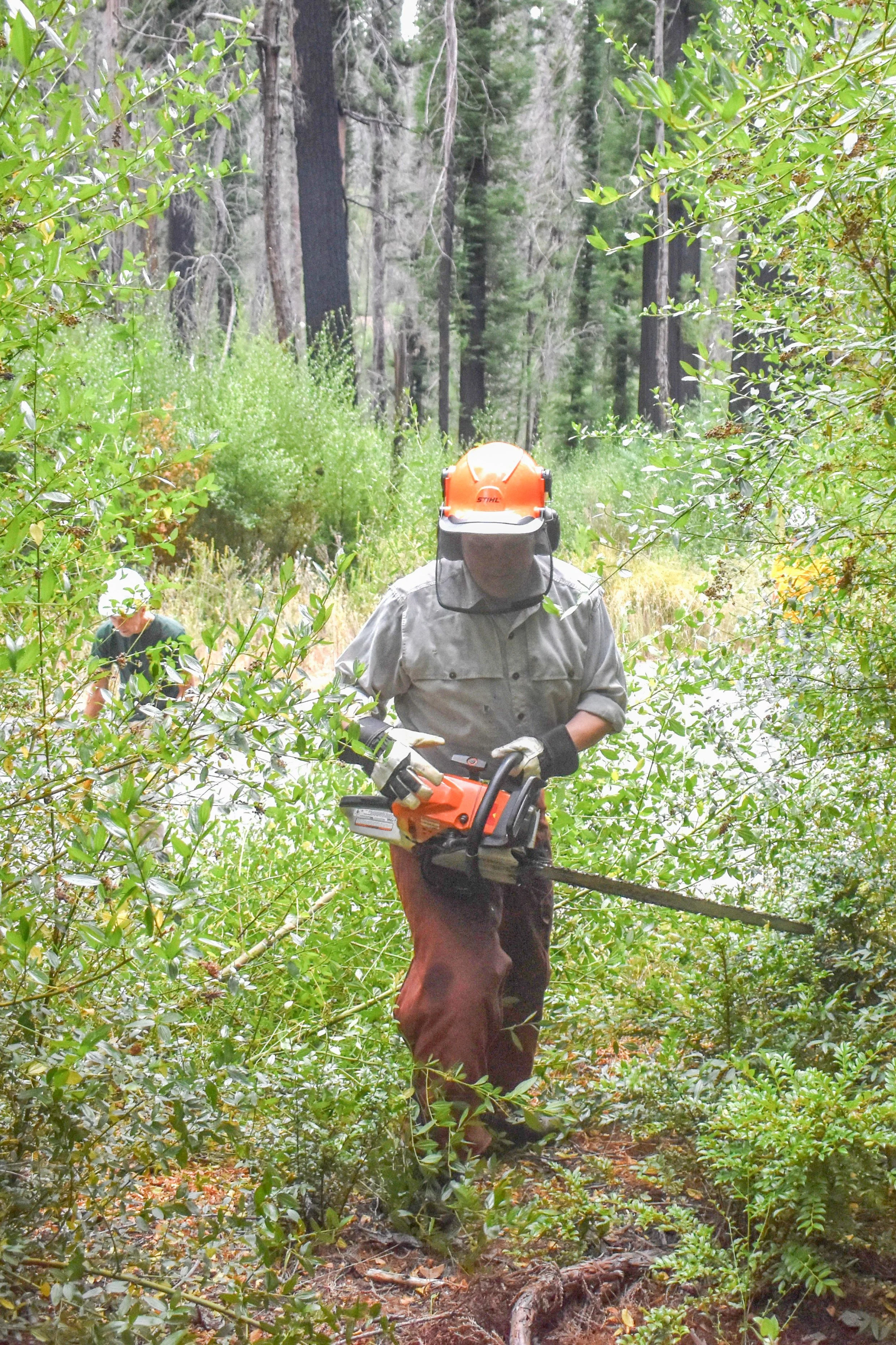 JUL 13 - Sequoia Trail