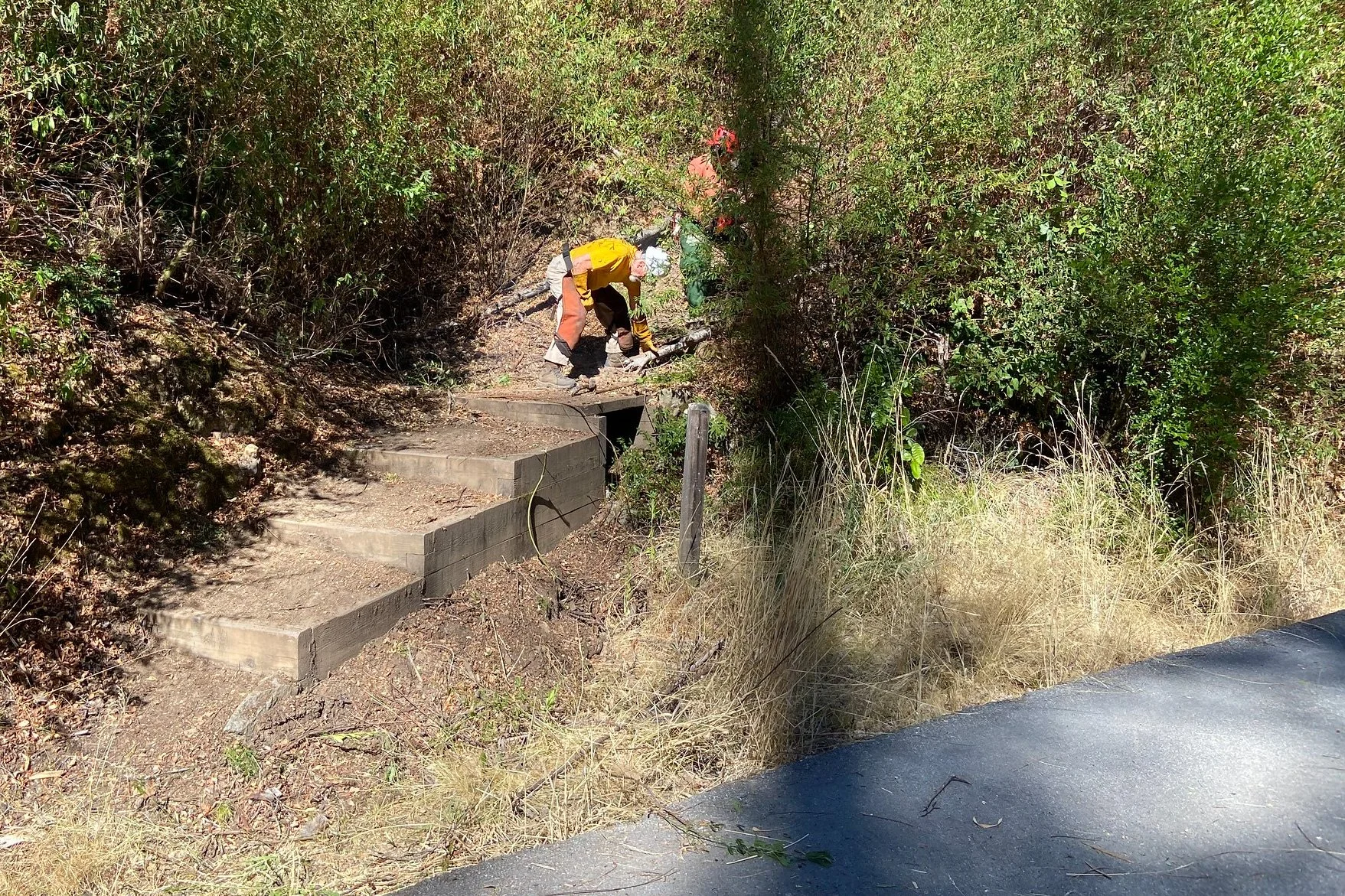 SEP 7 - Sequoia Trail