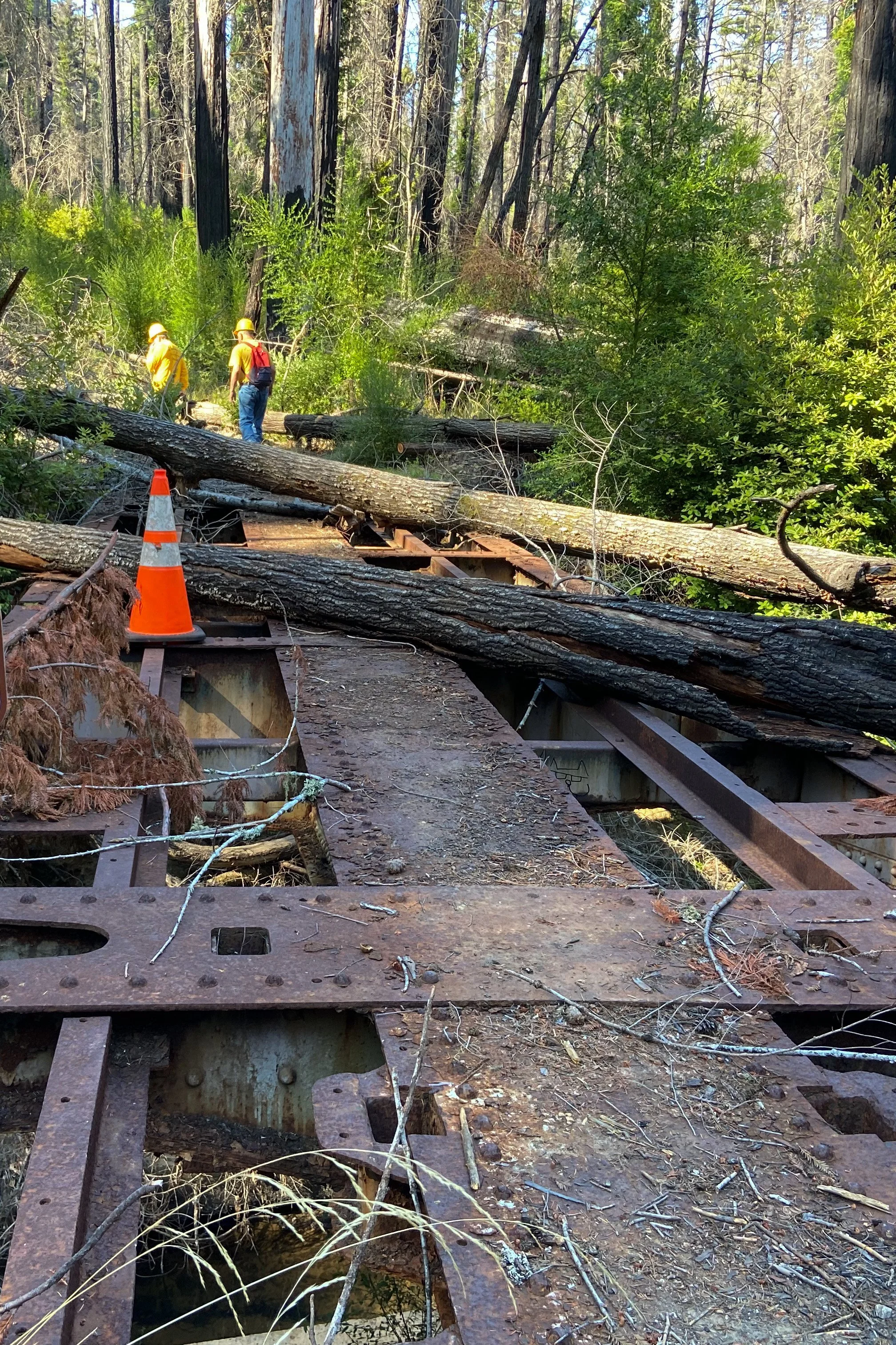 burned bridge.jpg