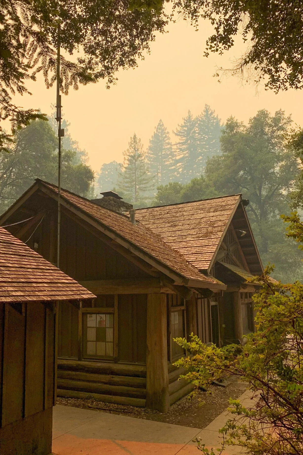 smoky2.webp