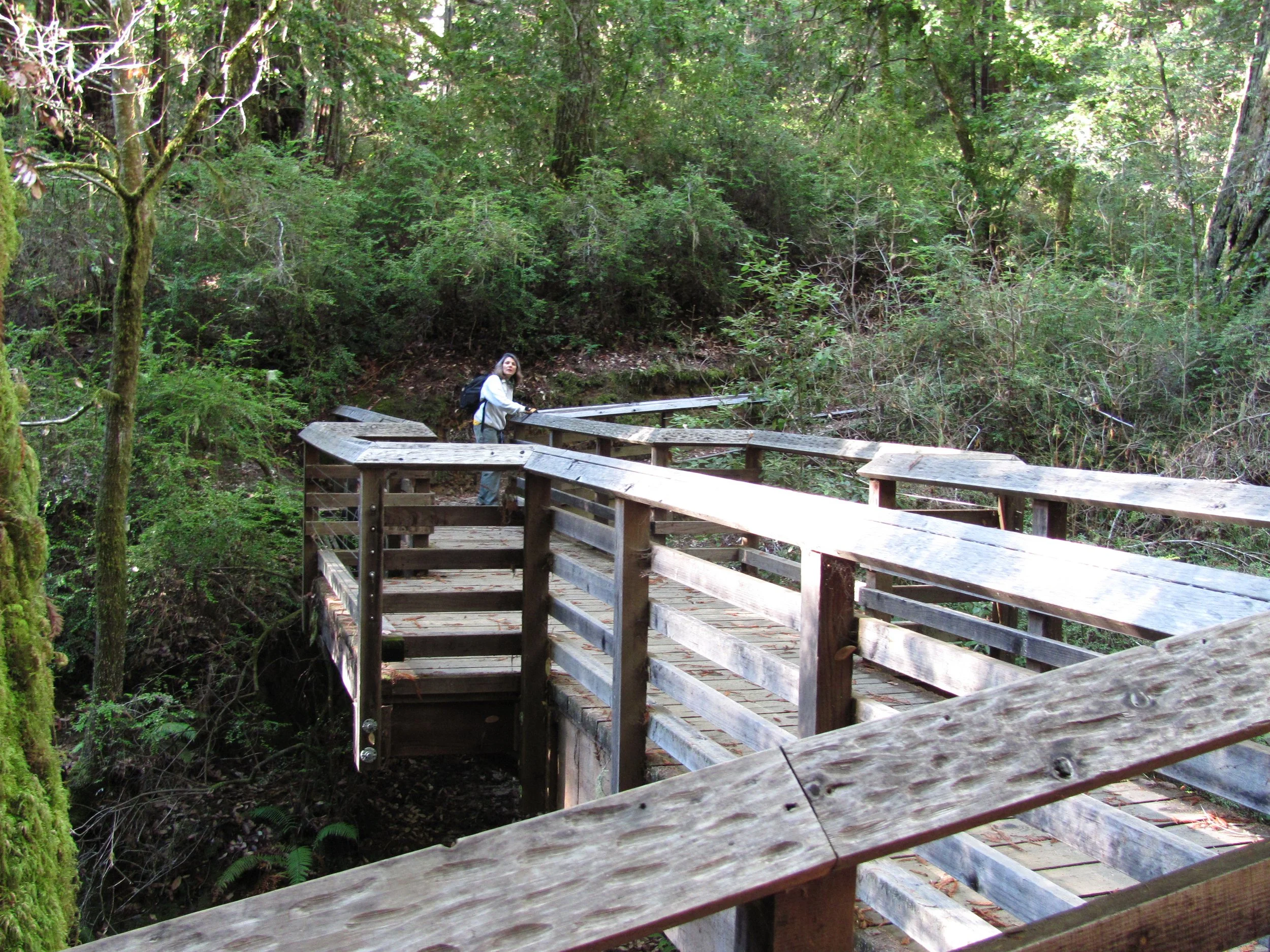 20131214-schultz bridgea.JPG