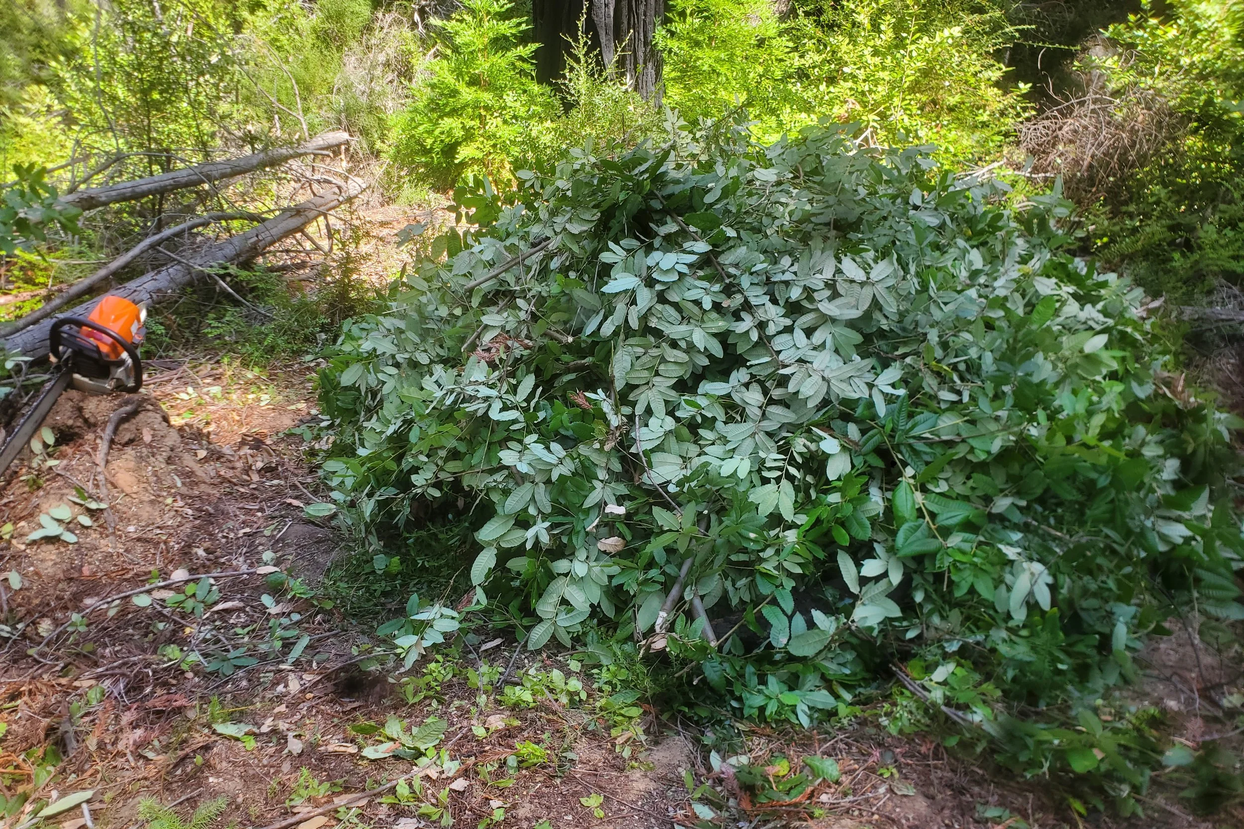 20250823_115435.jpg