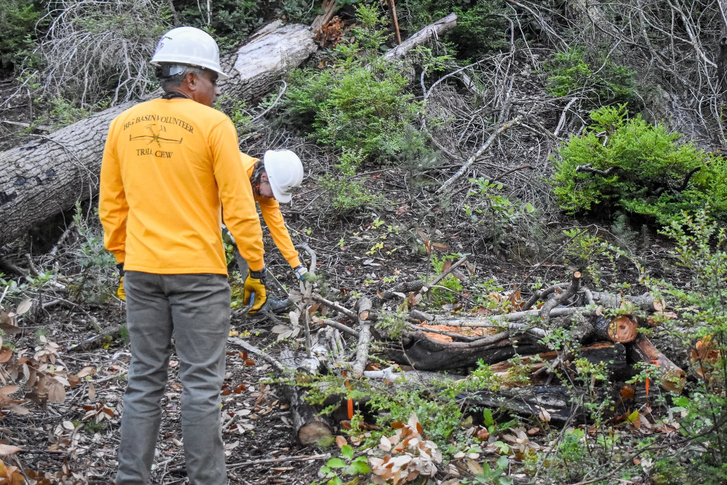 Starting a Burn Pile.jpg