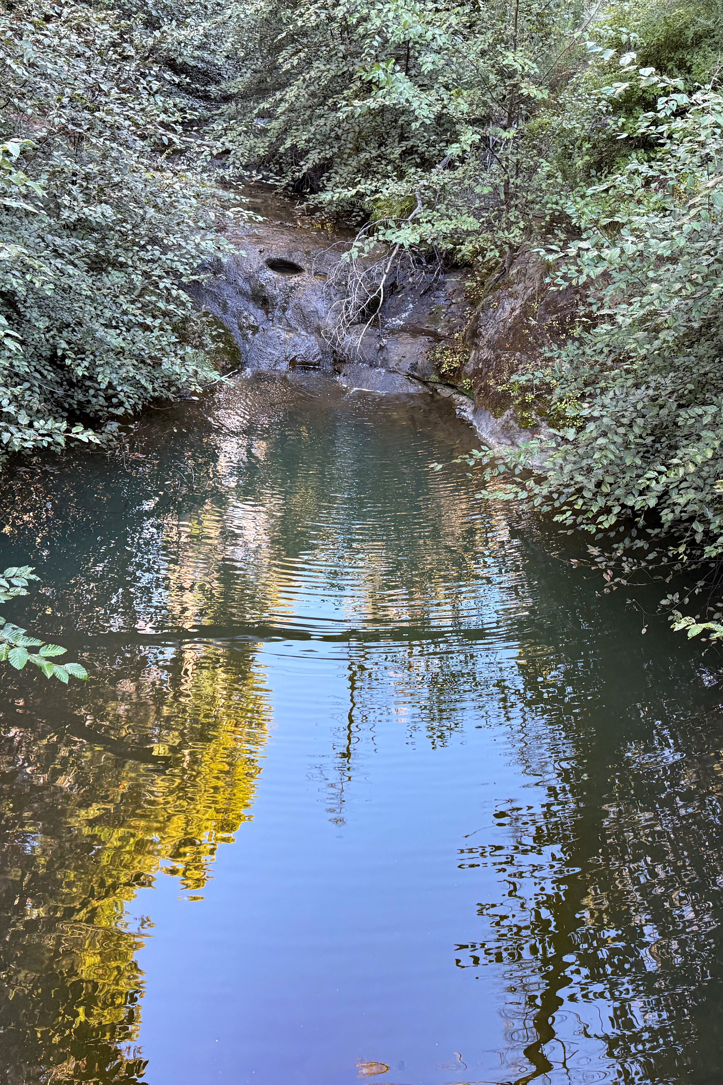 watering hole.jpg
