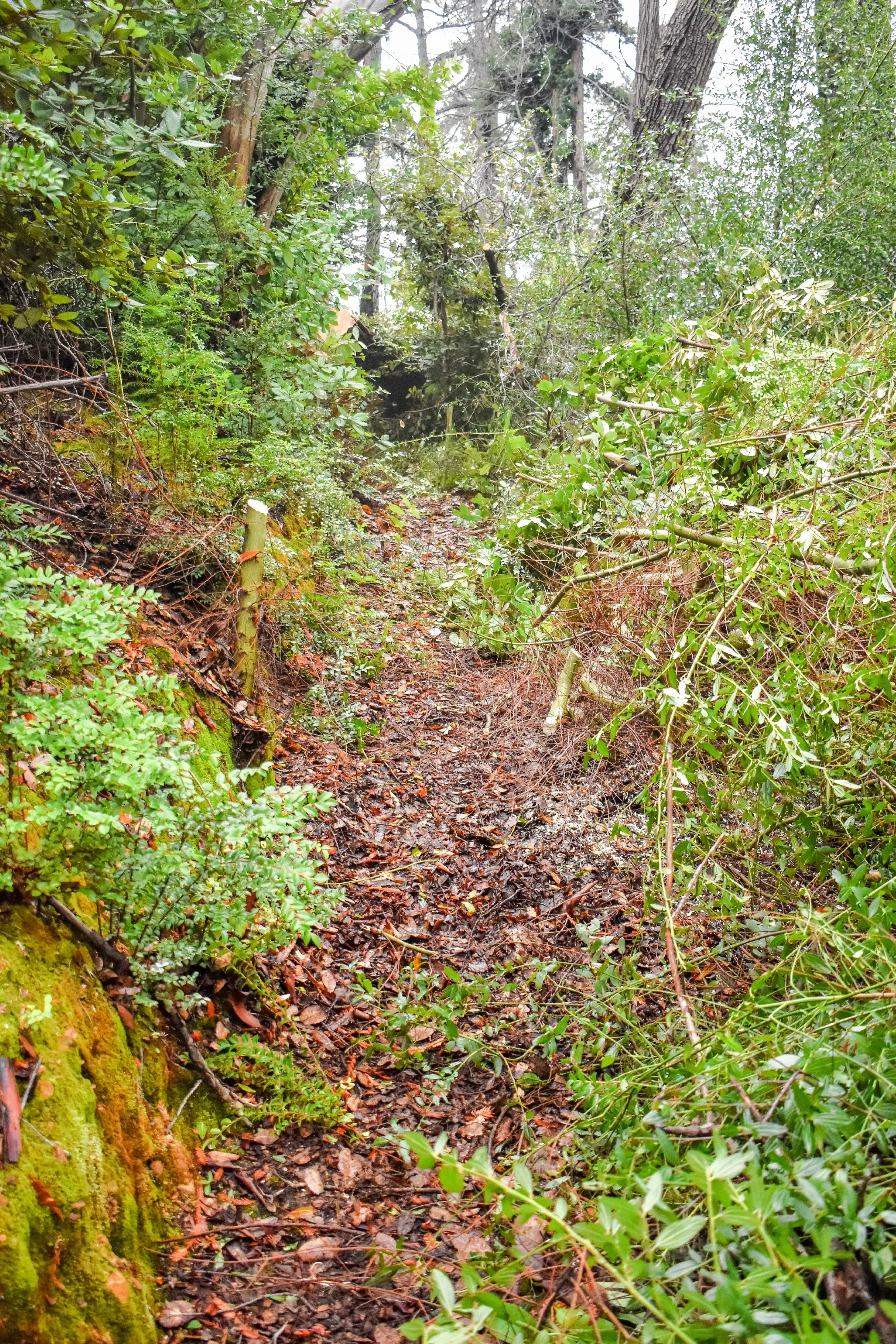 DSC_0073.jpg
