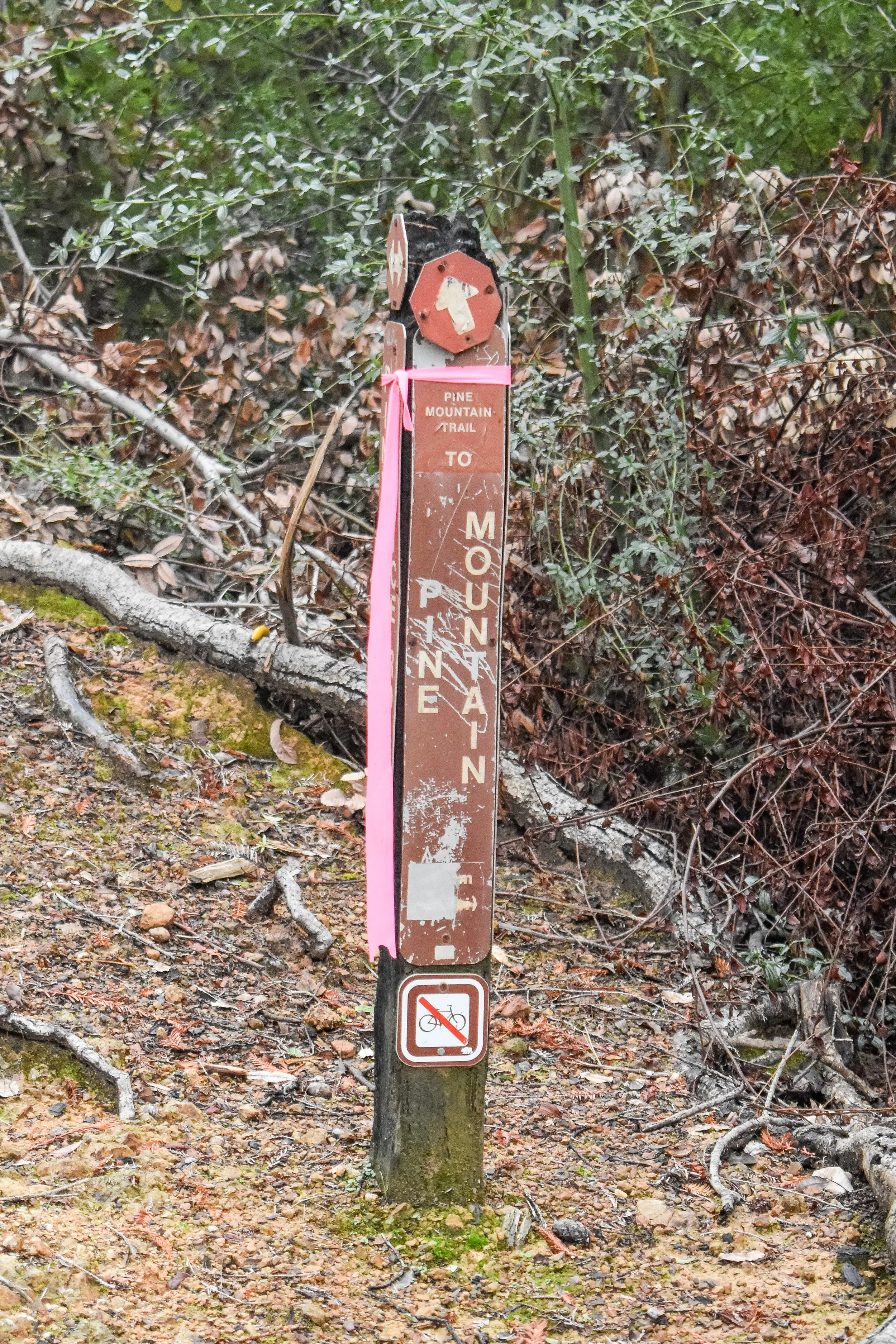 Signpost to Next Stretch of Trail.jpg