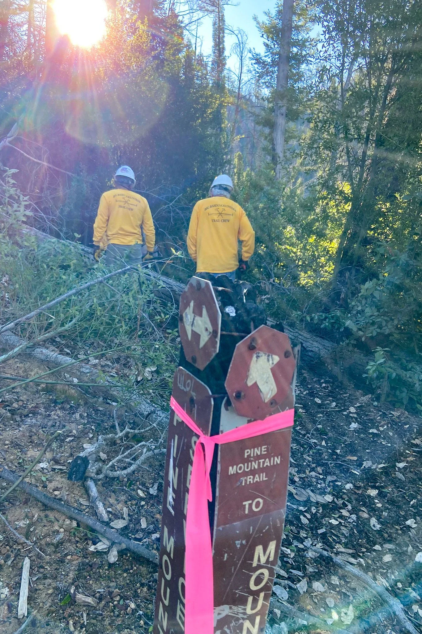 pine mountain trailblazing.jpg